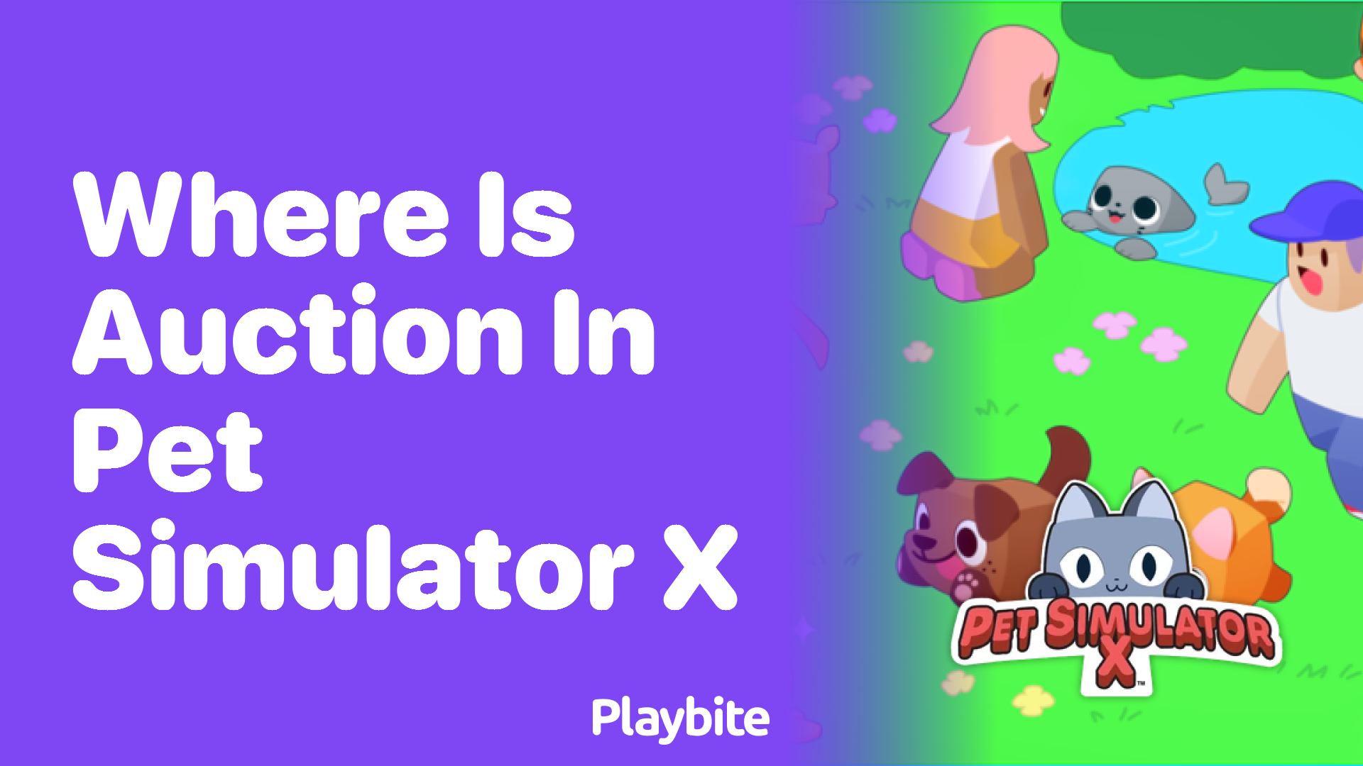 Where is the Auction in Pet Simulator X?