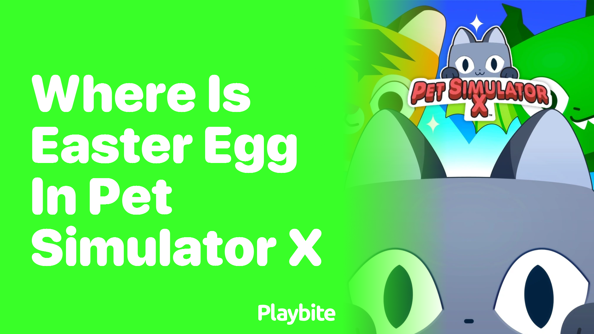 Where is the Easter Egg in Pet Simulator X?