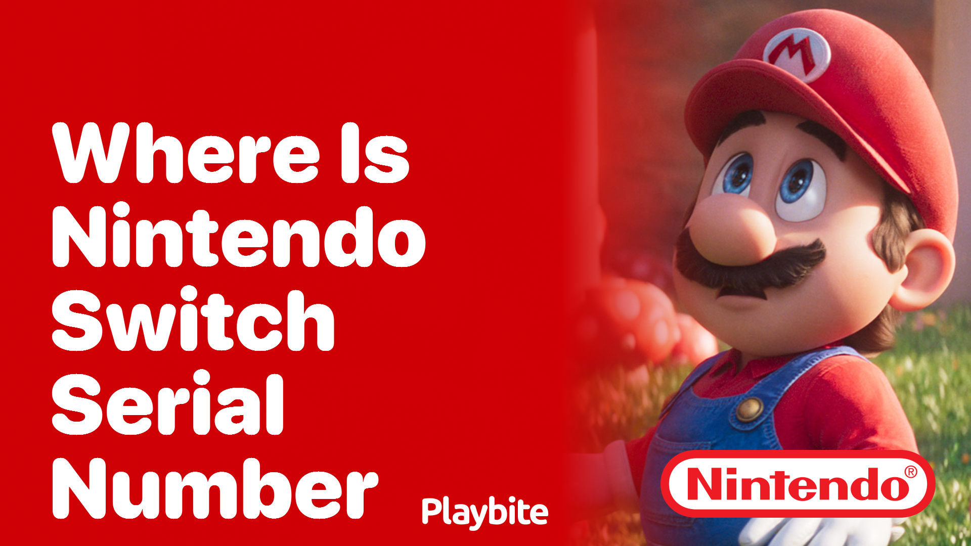 Where Can You Find the Serial Number on Your Nintendo Switch?