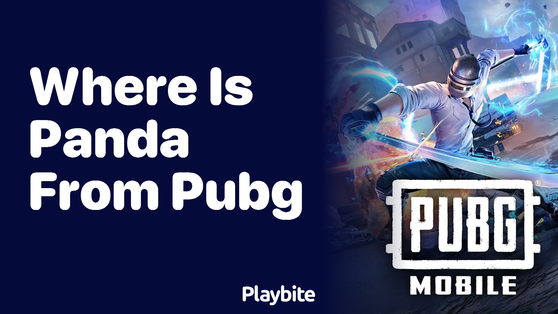 Where is Panda from in PUBG?