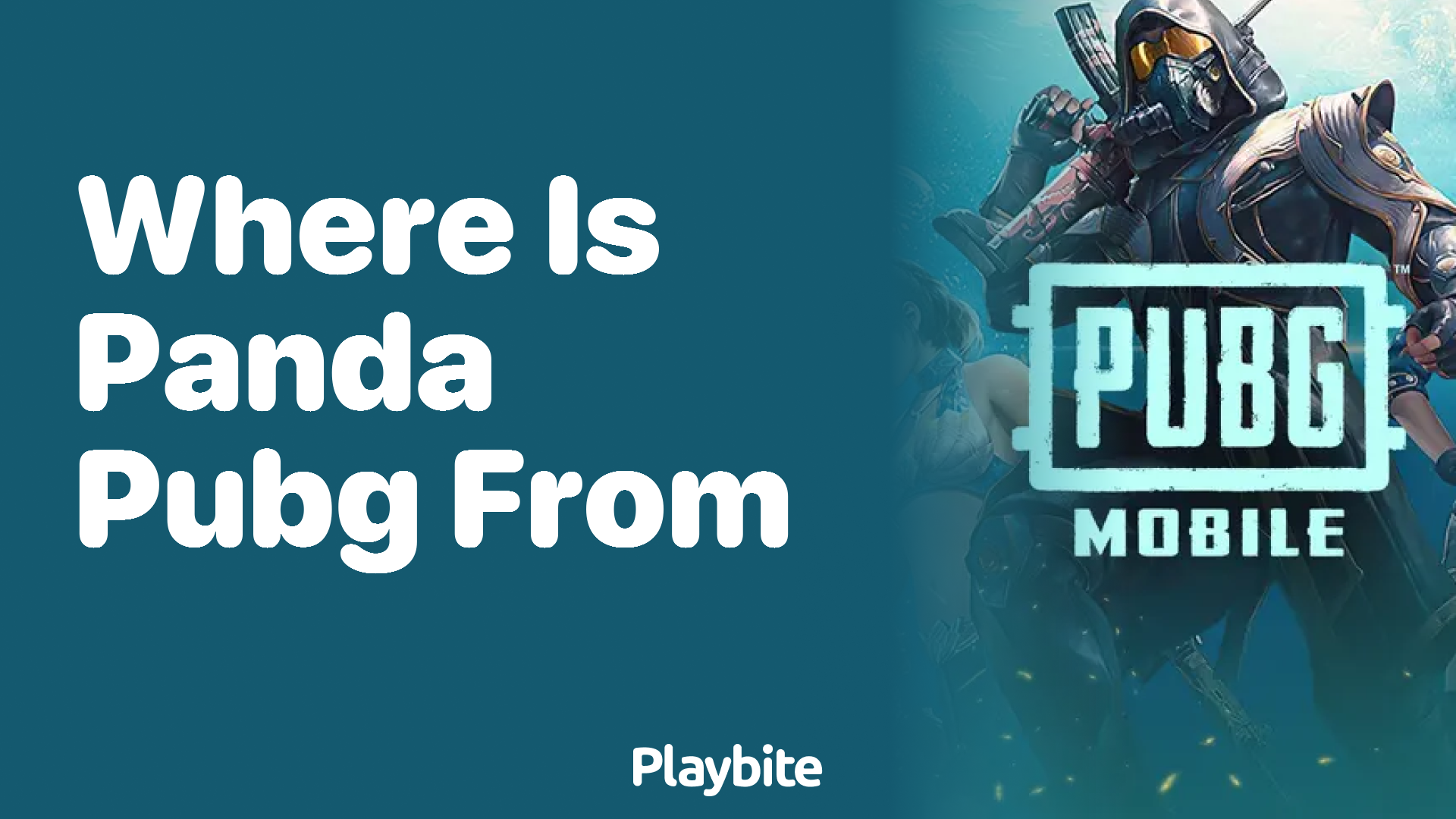 Where is Panda PUBG From? A Peek into the Background