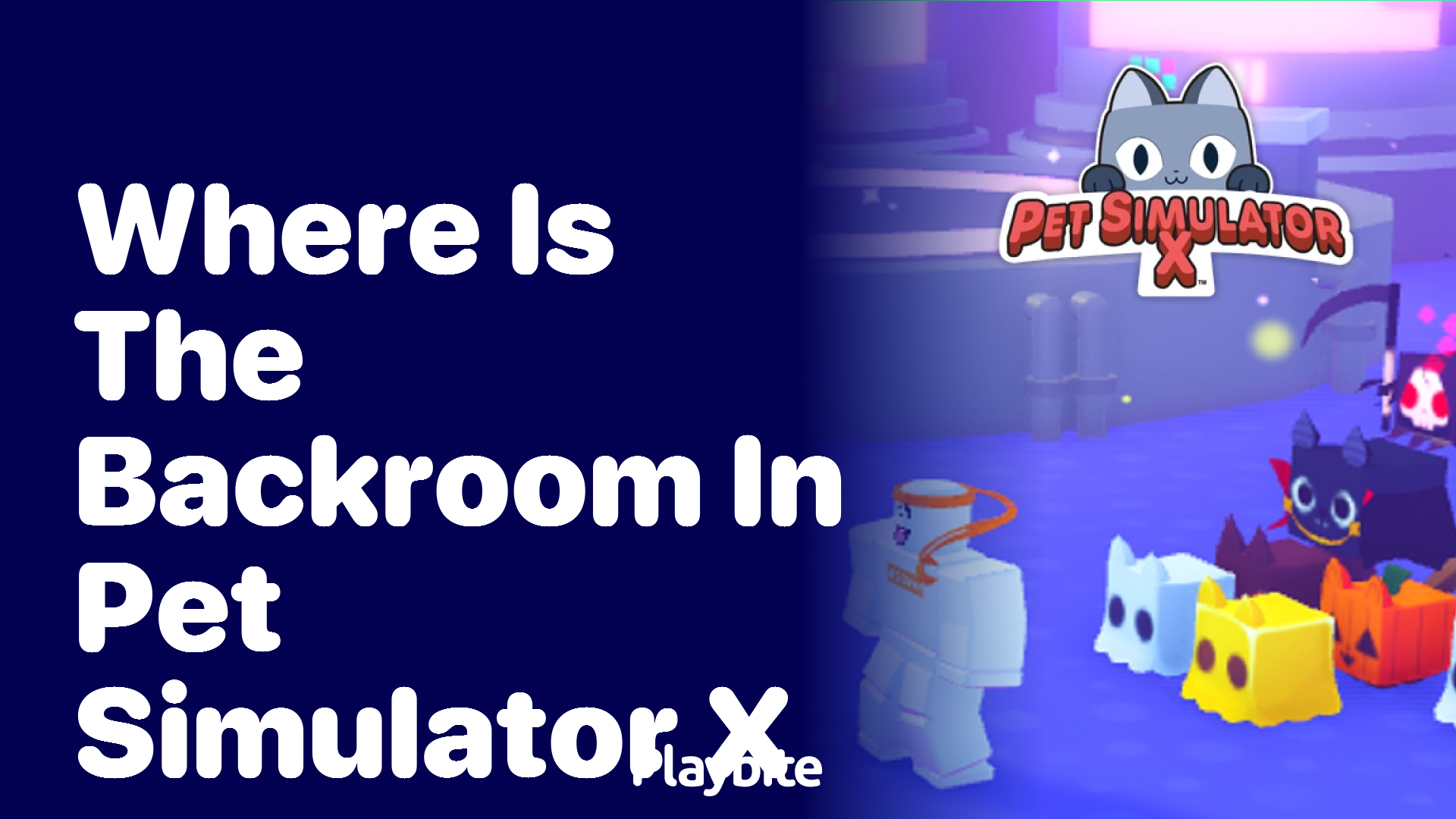 Where is the Backroom in Pet Simulator X?