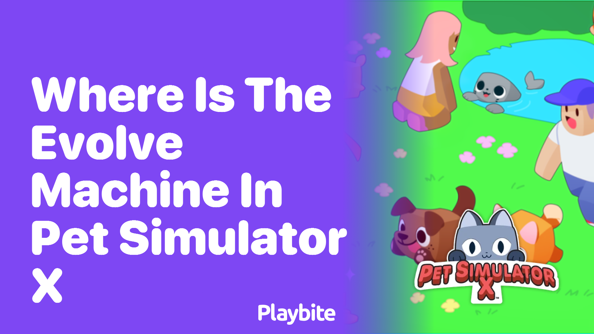 Where is the Evolve Machine in Pet Simulator X?