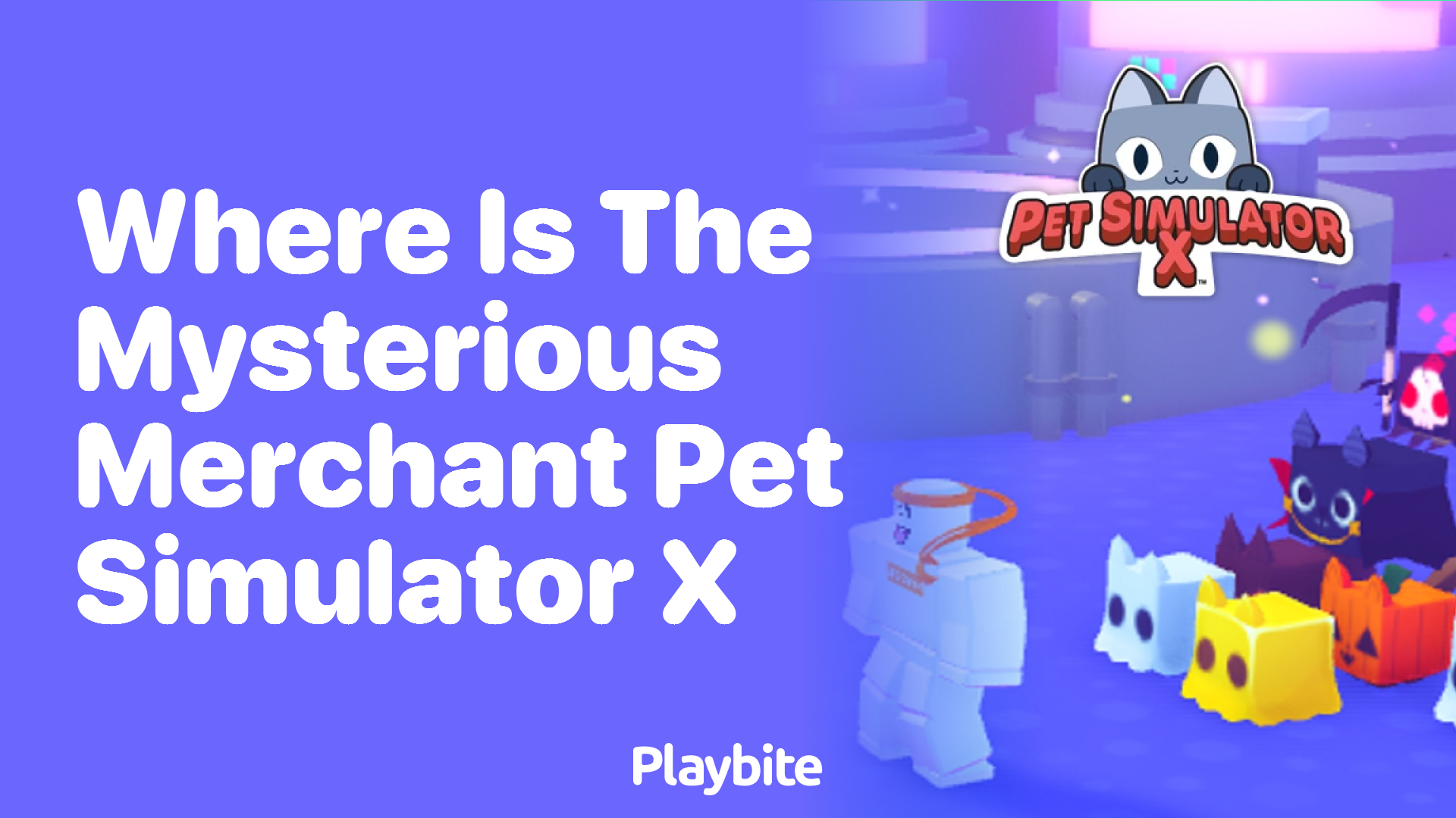 Where is the Mysterious Merchant in Pet Simulator X?