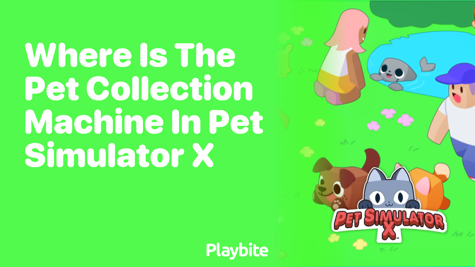 Where is the Pet Collection Machine in Pet Simulator X?