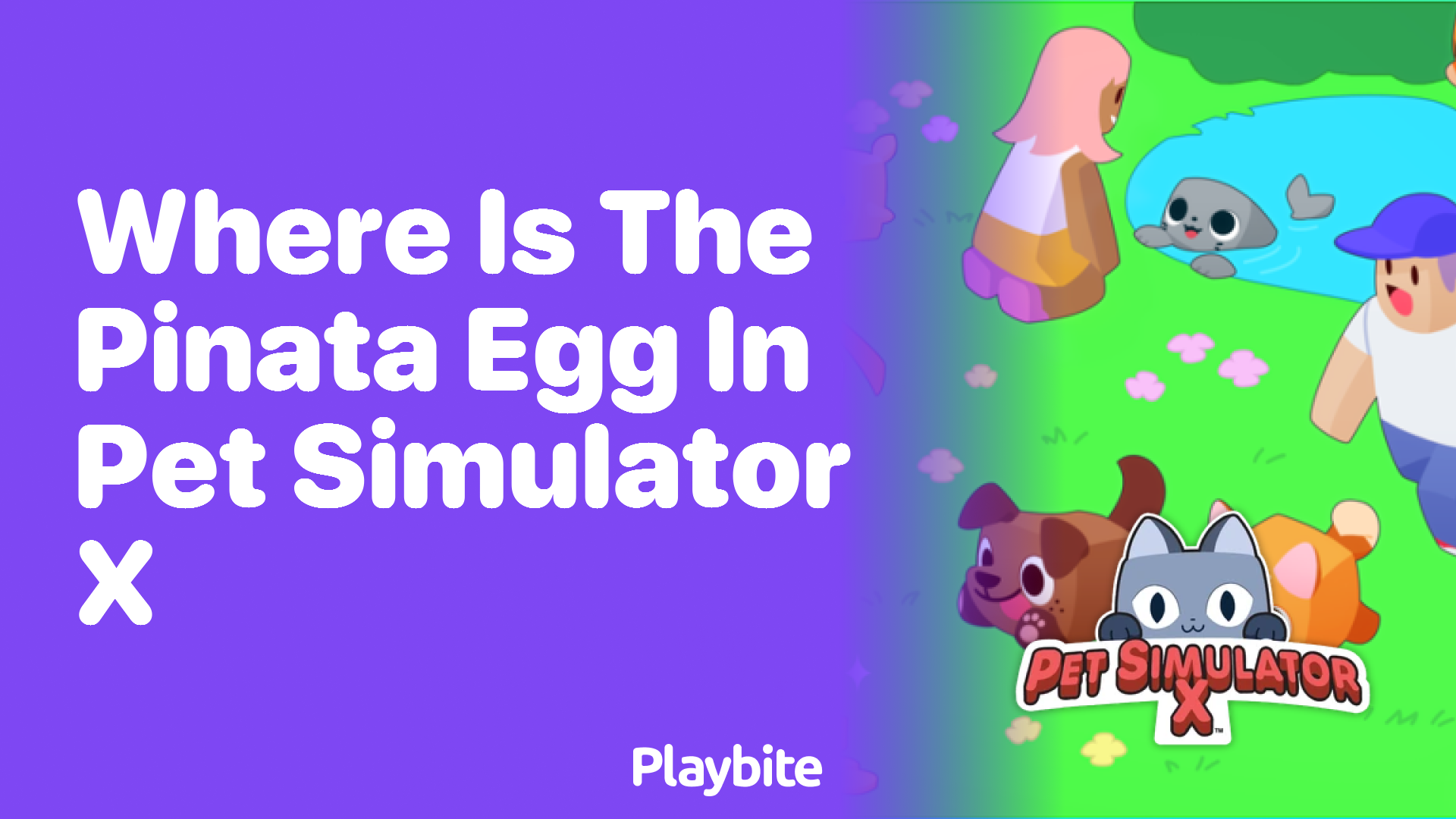 Where is the Pinata Egg in Pet Simulator X?