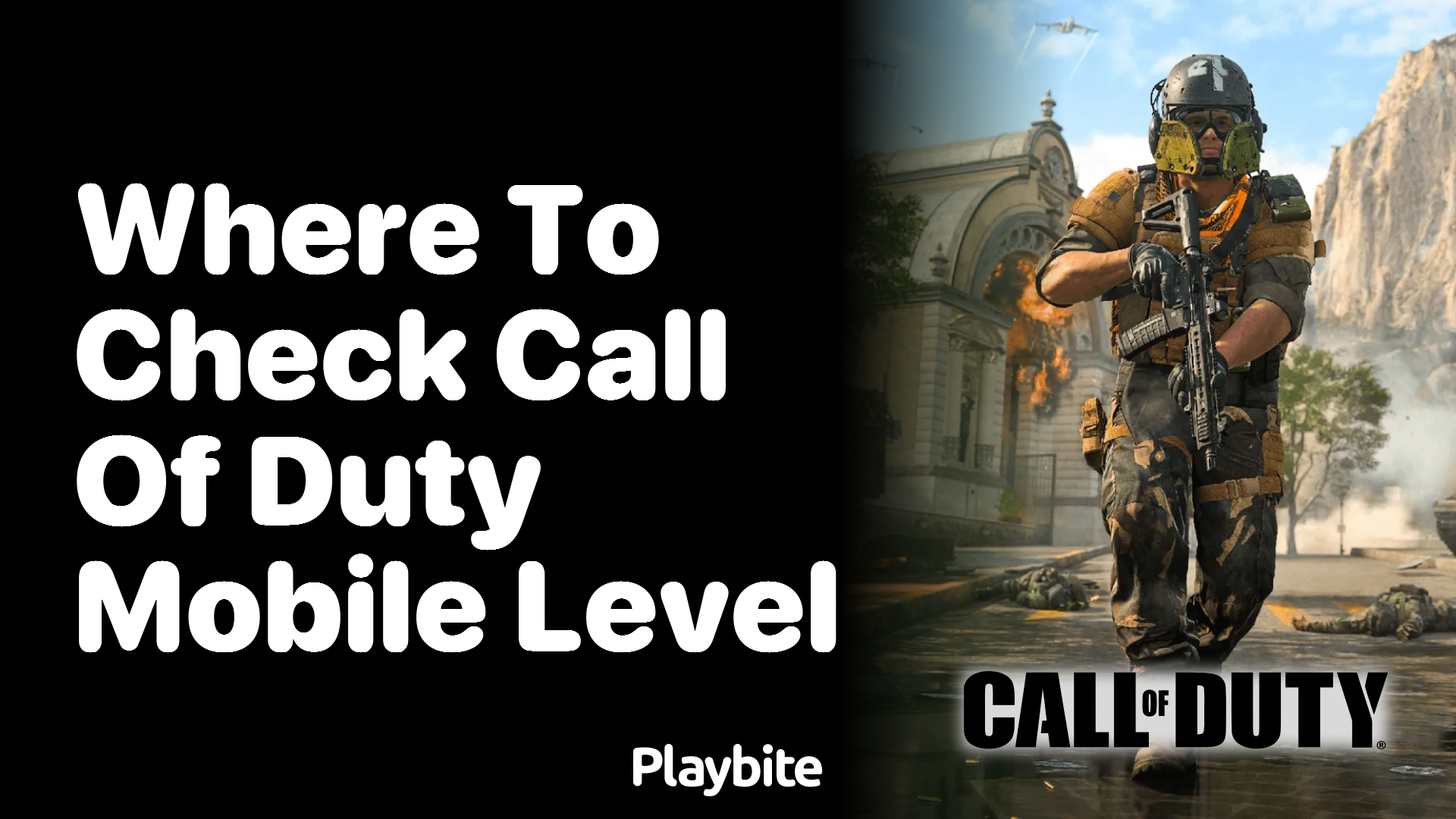 Where to Check Your Call of Duty Mobile Level