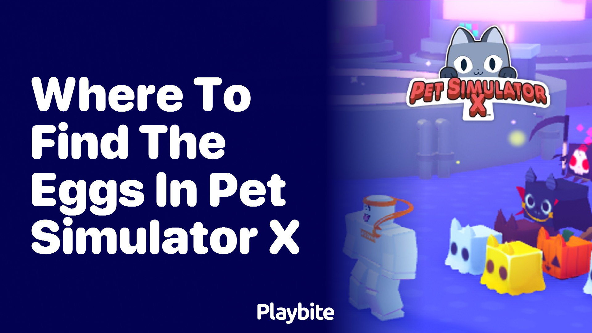 Where to Find the Eggs in Pet Simulator X