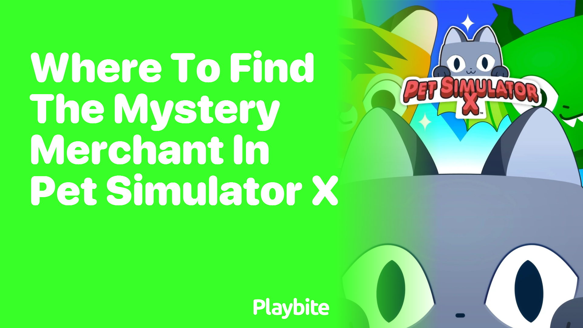 Where to Find the Mystery Merchant in Pet Simulator X