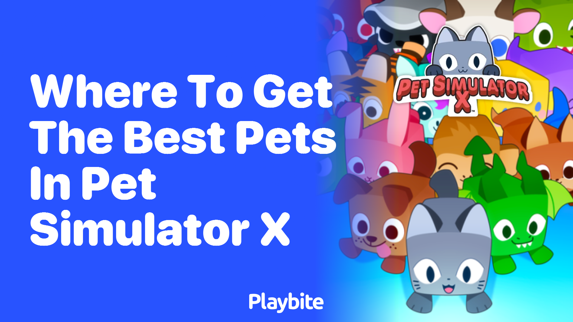 Discovering the Best Pets in Pet Simulator X