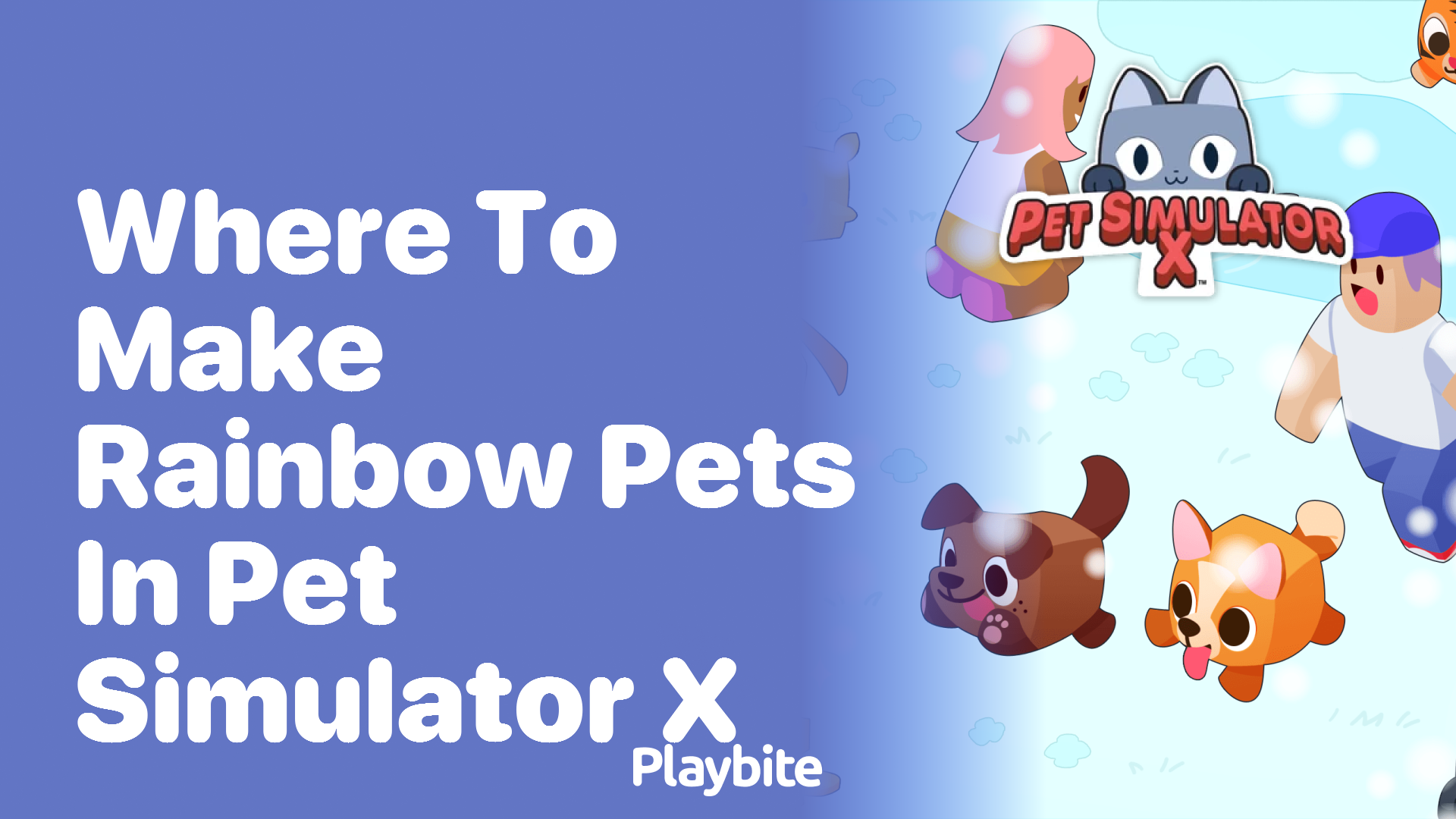 Where to Make Rainbow Pets in Pet Simulator X