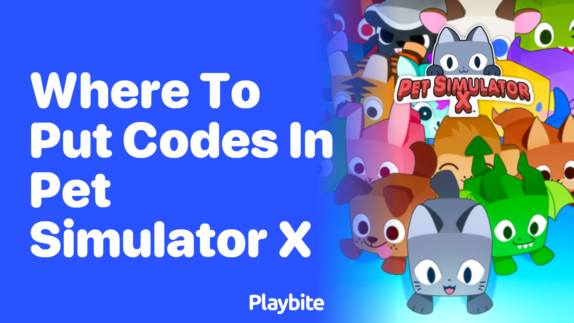 Where to Put Codes in Pet Simulator X