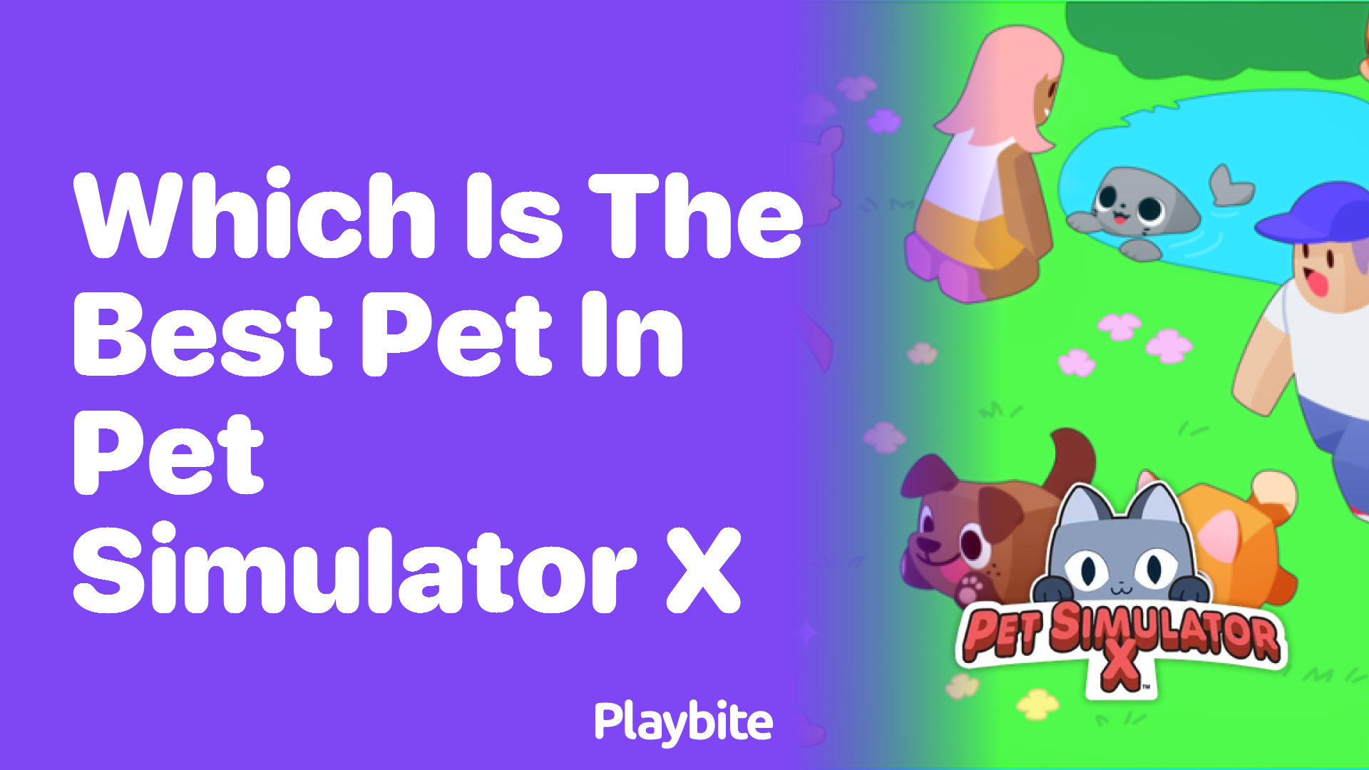 Discovering the Best Pet in Pet Simulator X