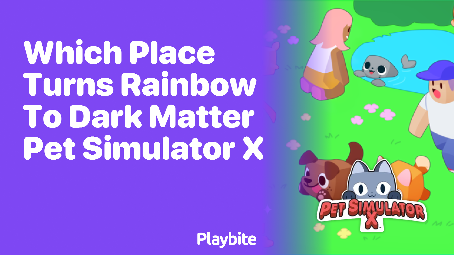 Which Place Turns Pets from Rainbow to Dark Matter in Pet Simulator X?