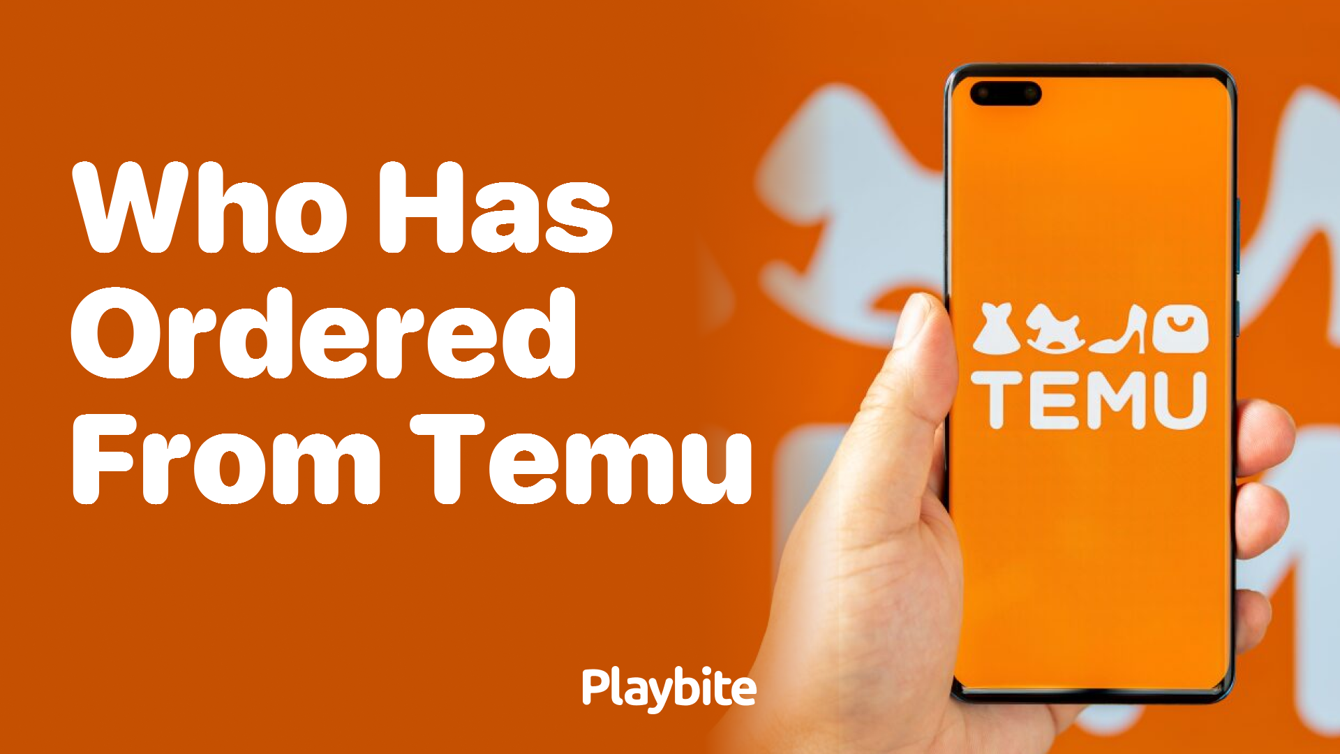 Who Has Ordered from Temu? Exploring User Experiences