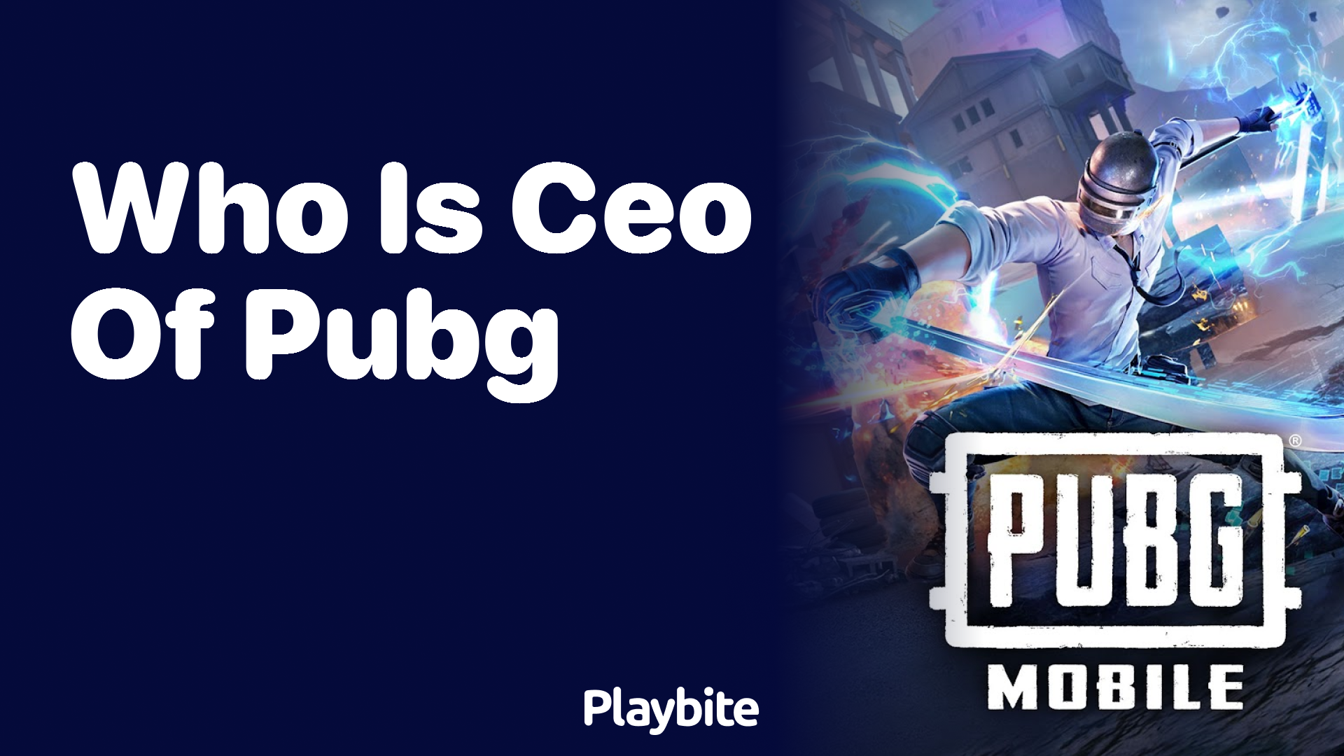 Who Is the CEO of PUBG Mobile?