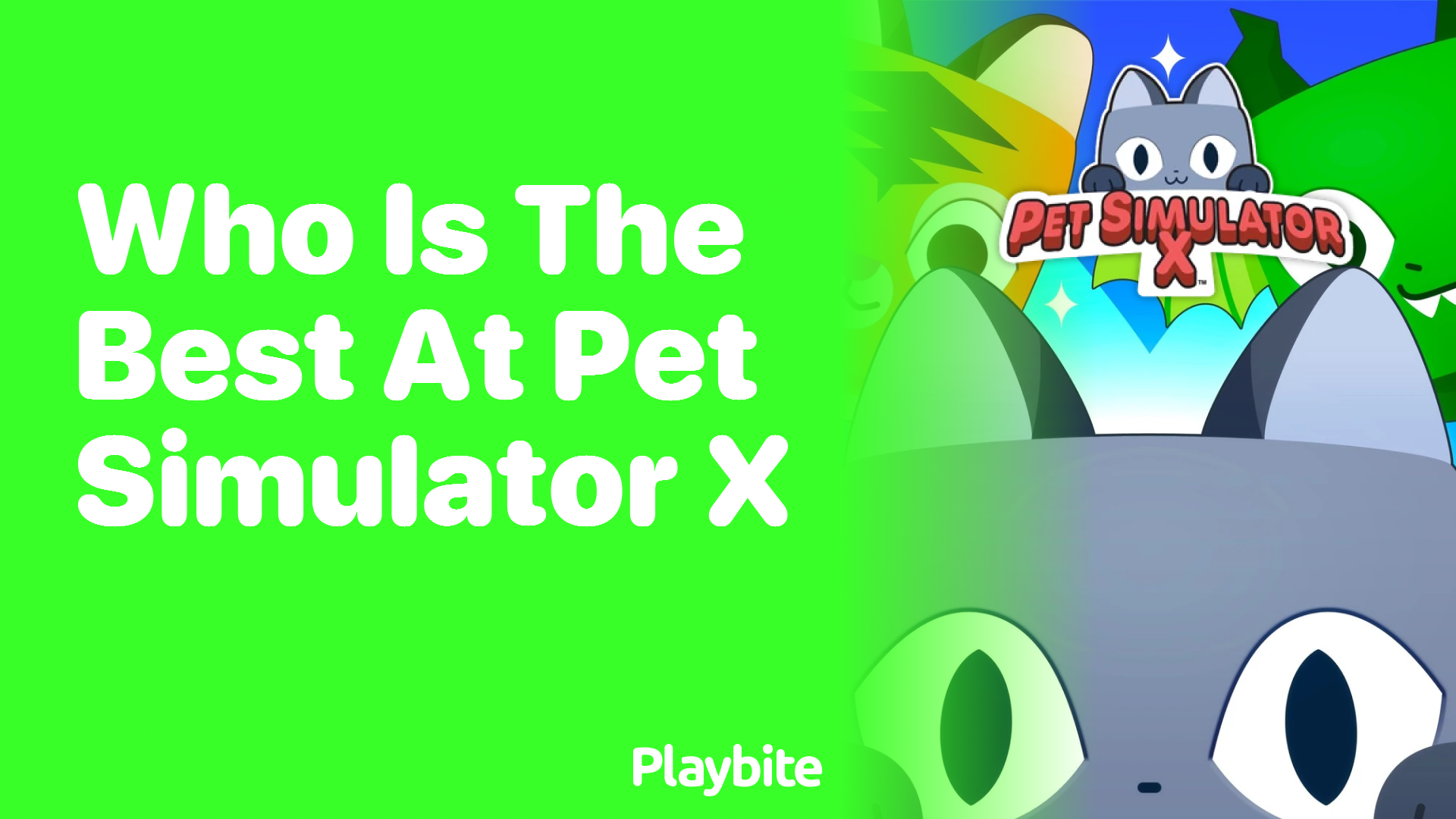 Who is the Best at Pet Simulator X?