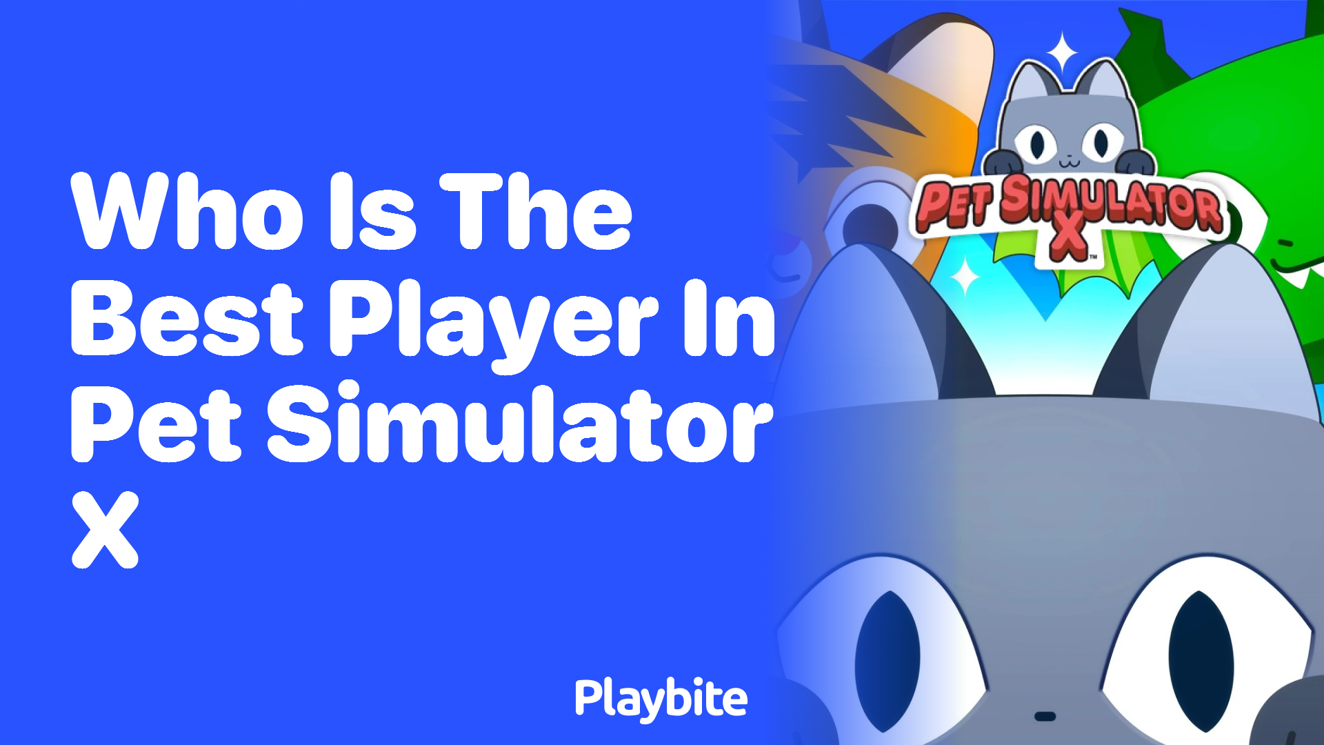 Who is the Best Player in Pet Simulator X?