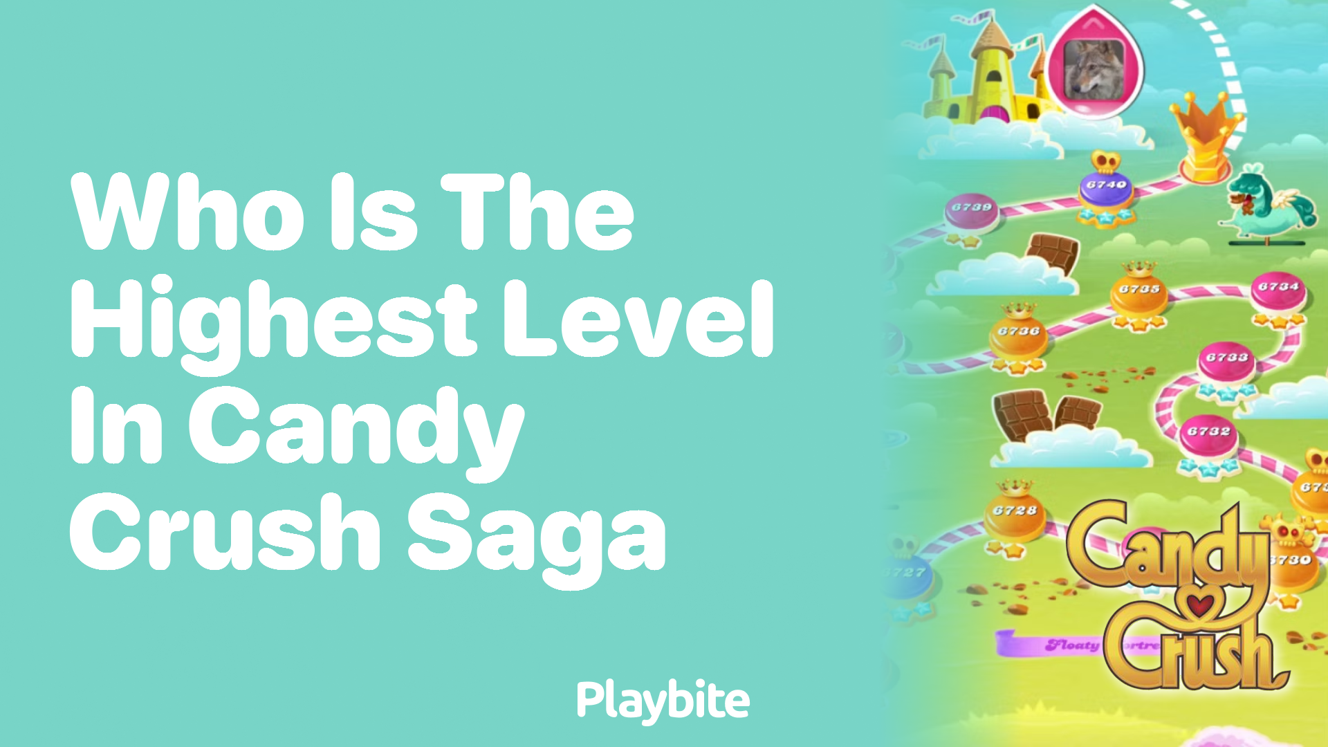 Who Has Reached the Highest Level in Candy Crush Saga?