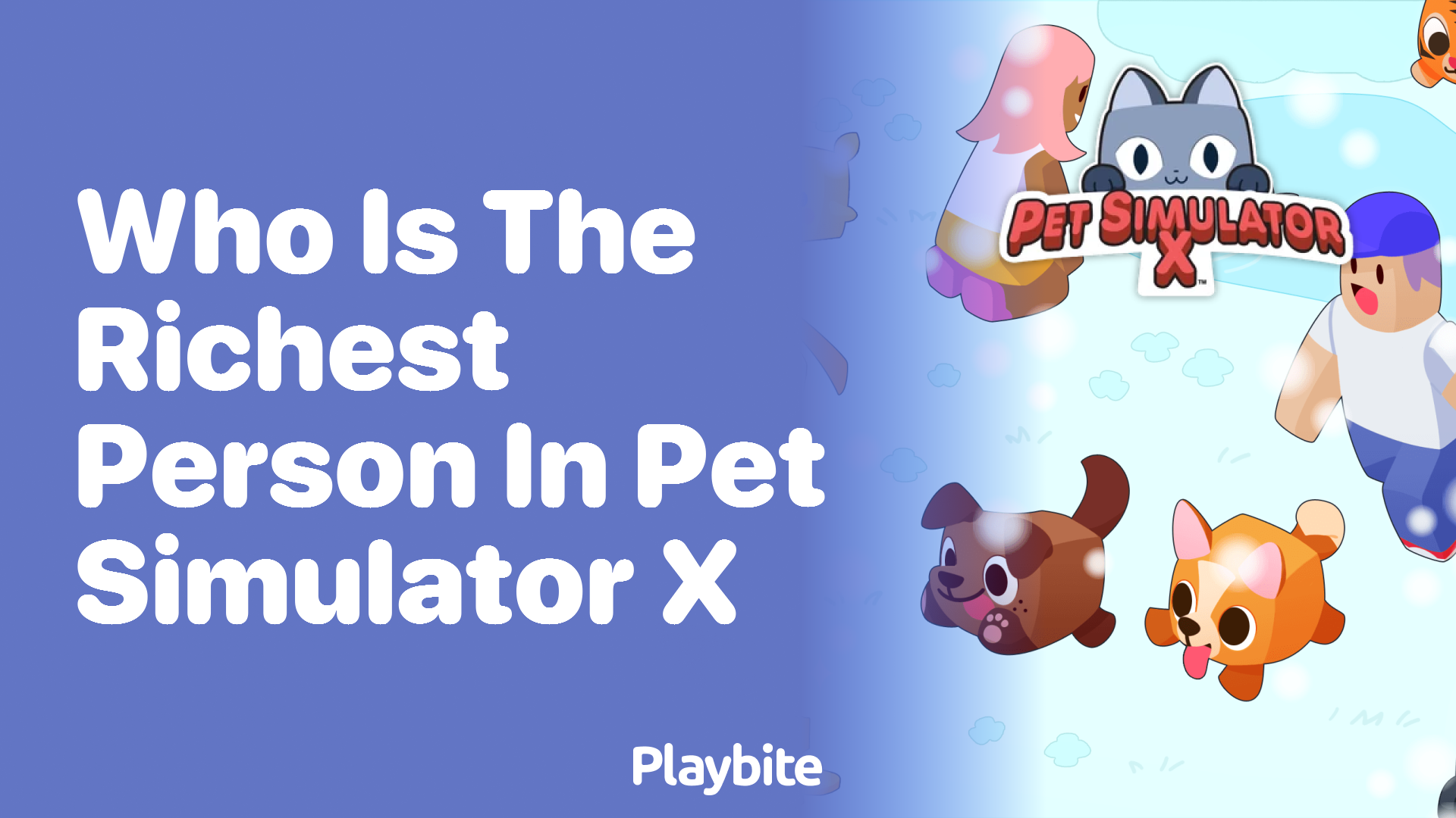 Who is the Richest Person in Pet Simulator X?