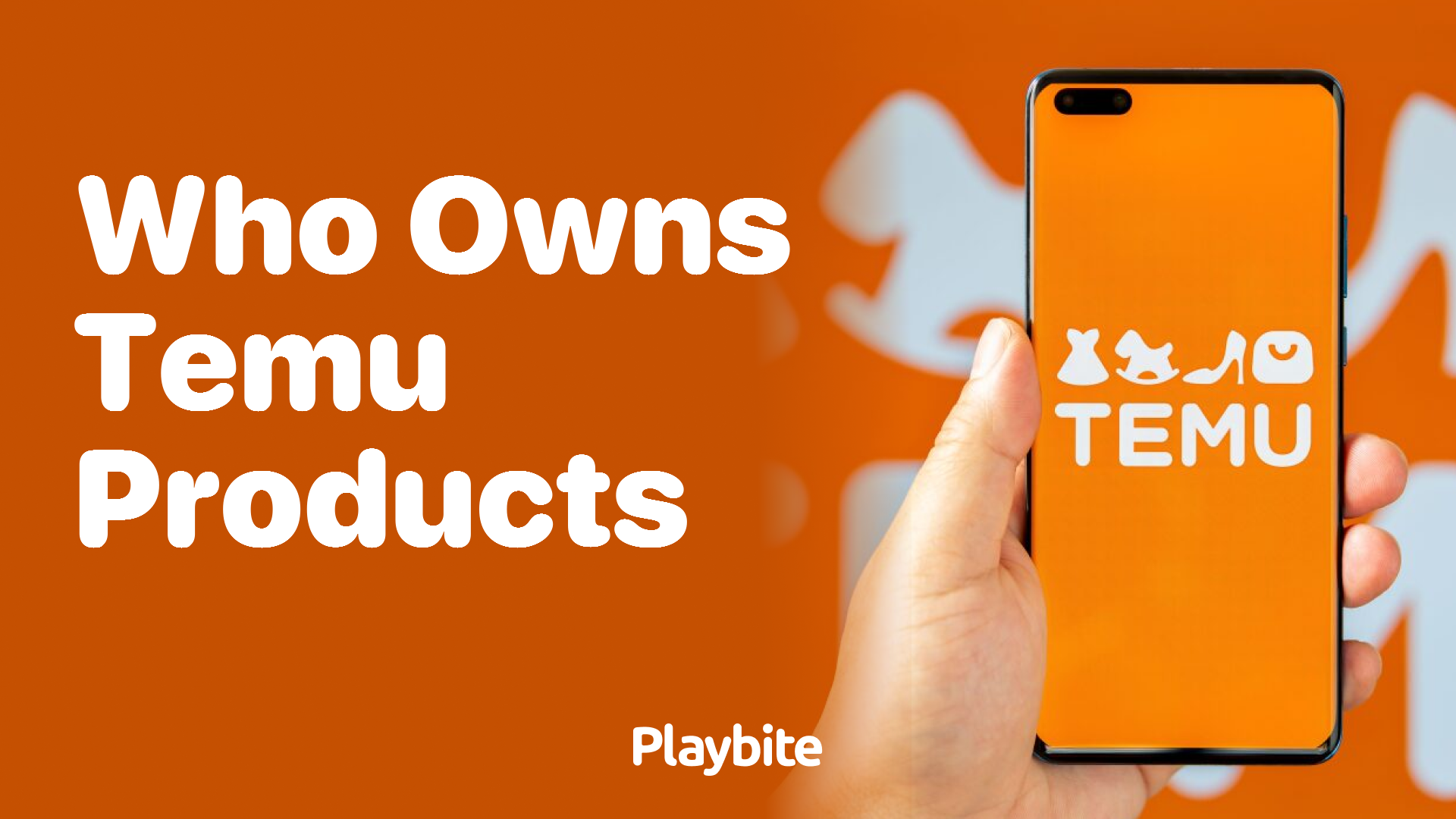 Who Owns Temu Products?