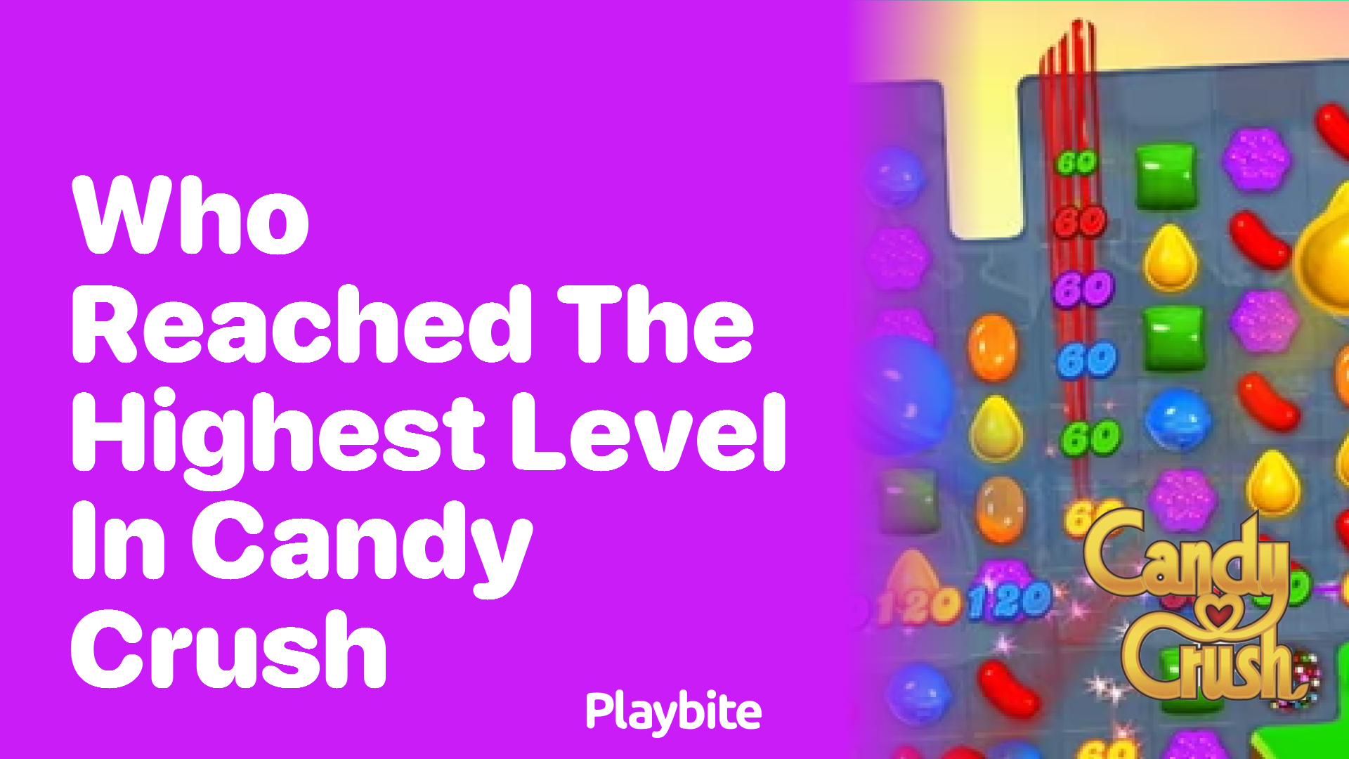 Who Reached the Highest Level in Candy Crush?