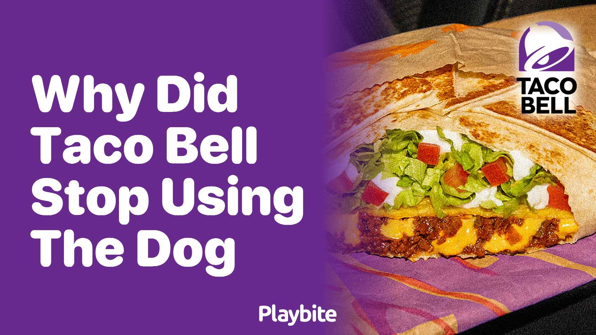 Why Did Taco Bell Stop Using the Dog in Their Advertisements?