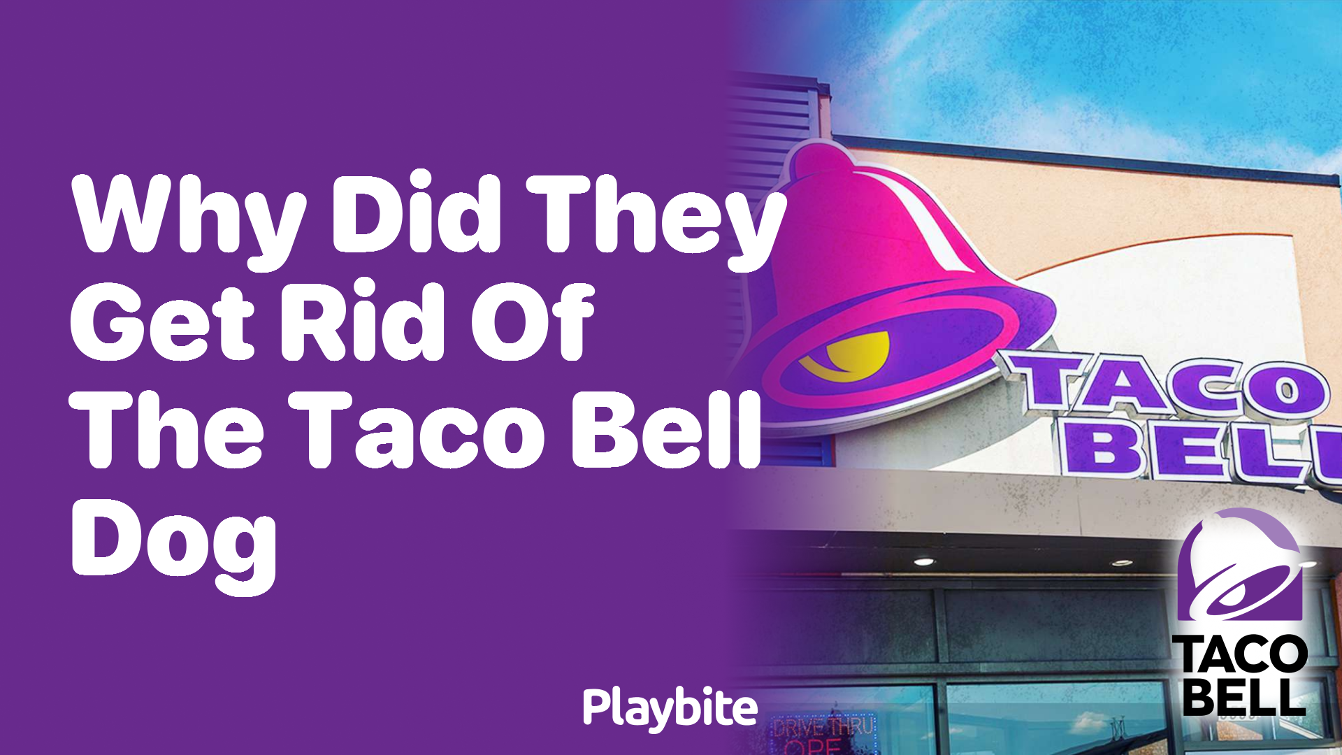 Why Did Taco Bell Say Goodbye to Their Iconic Dog? - Playbite