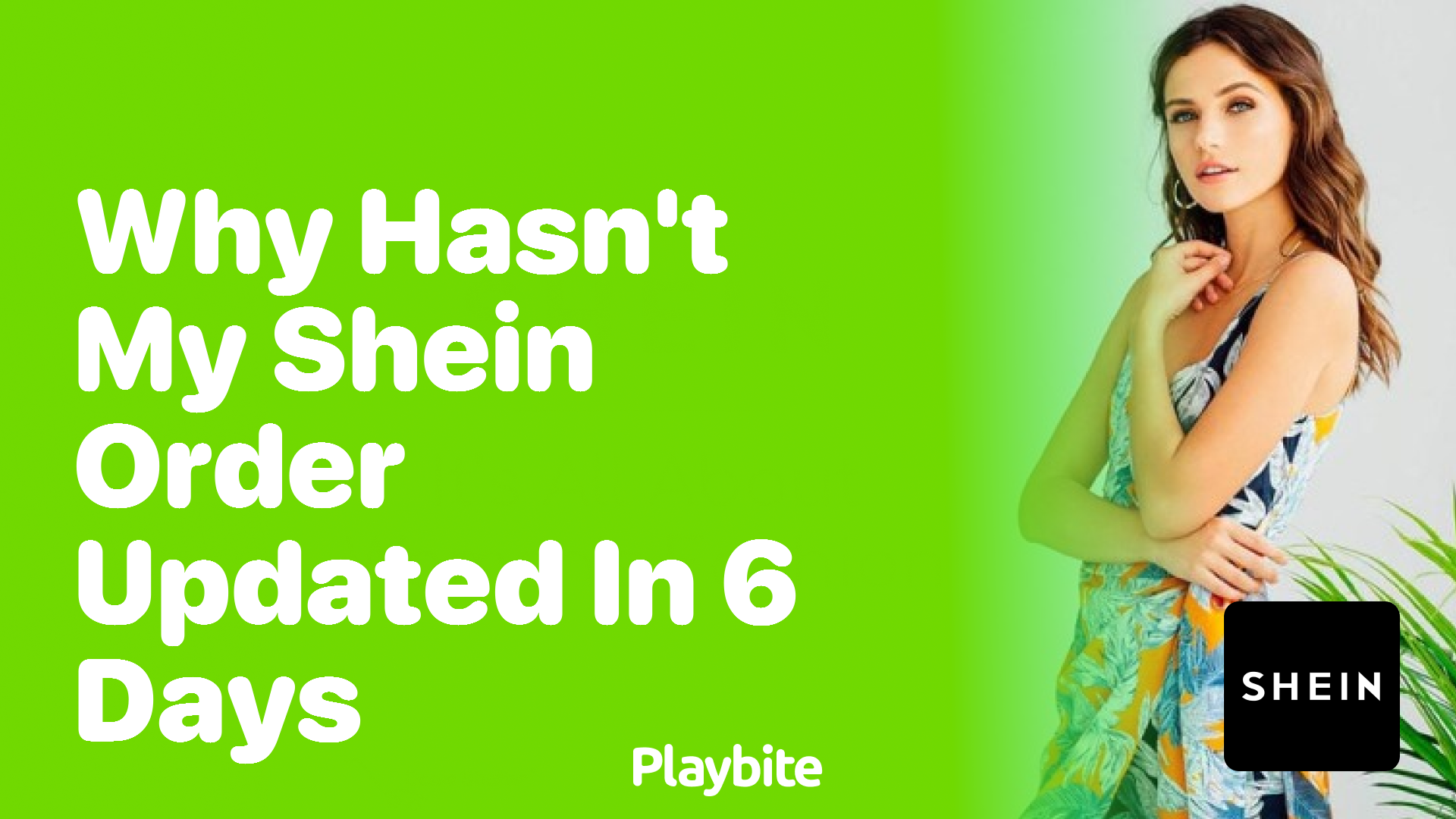 Why Hasn&#8217;t My SHEIN Order Updated in 6 Days?