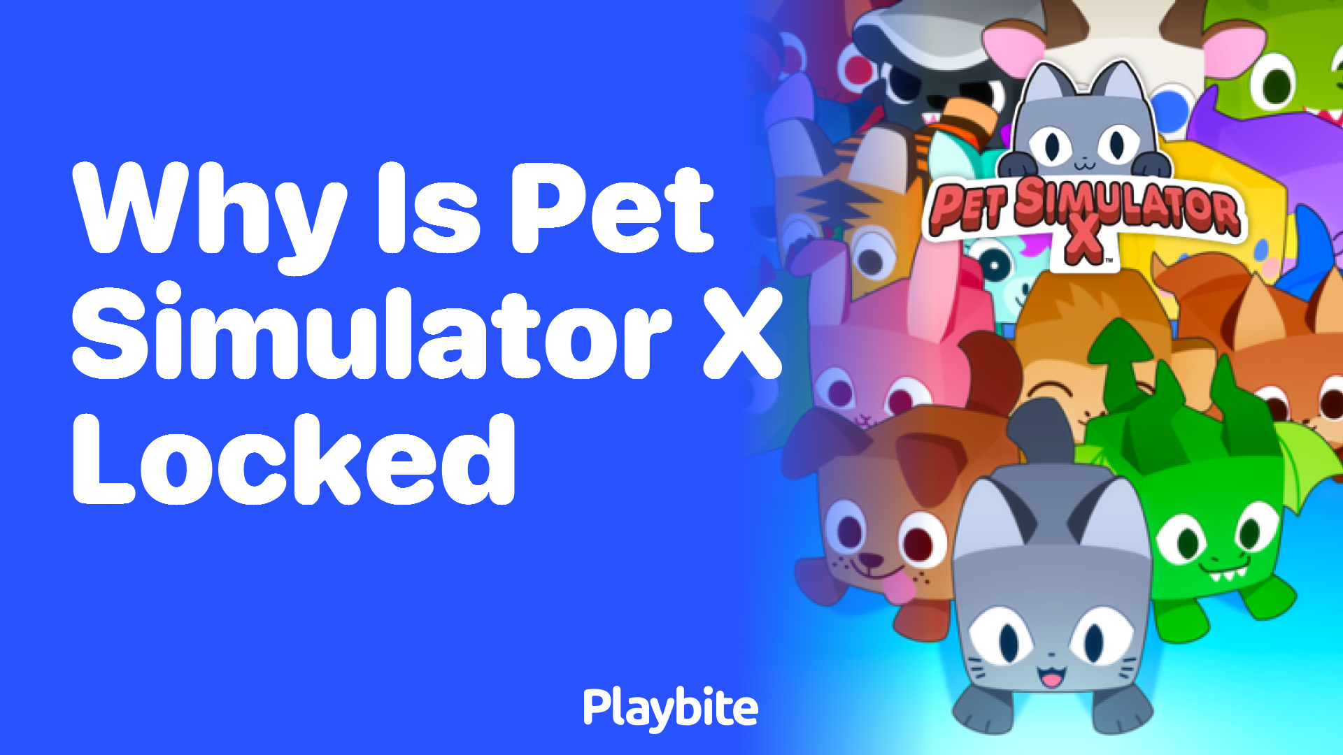 Why is Pet Simulator X Locked?