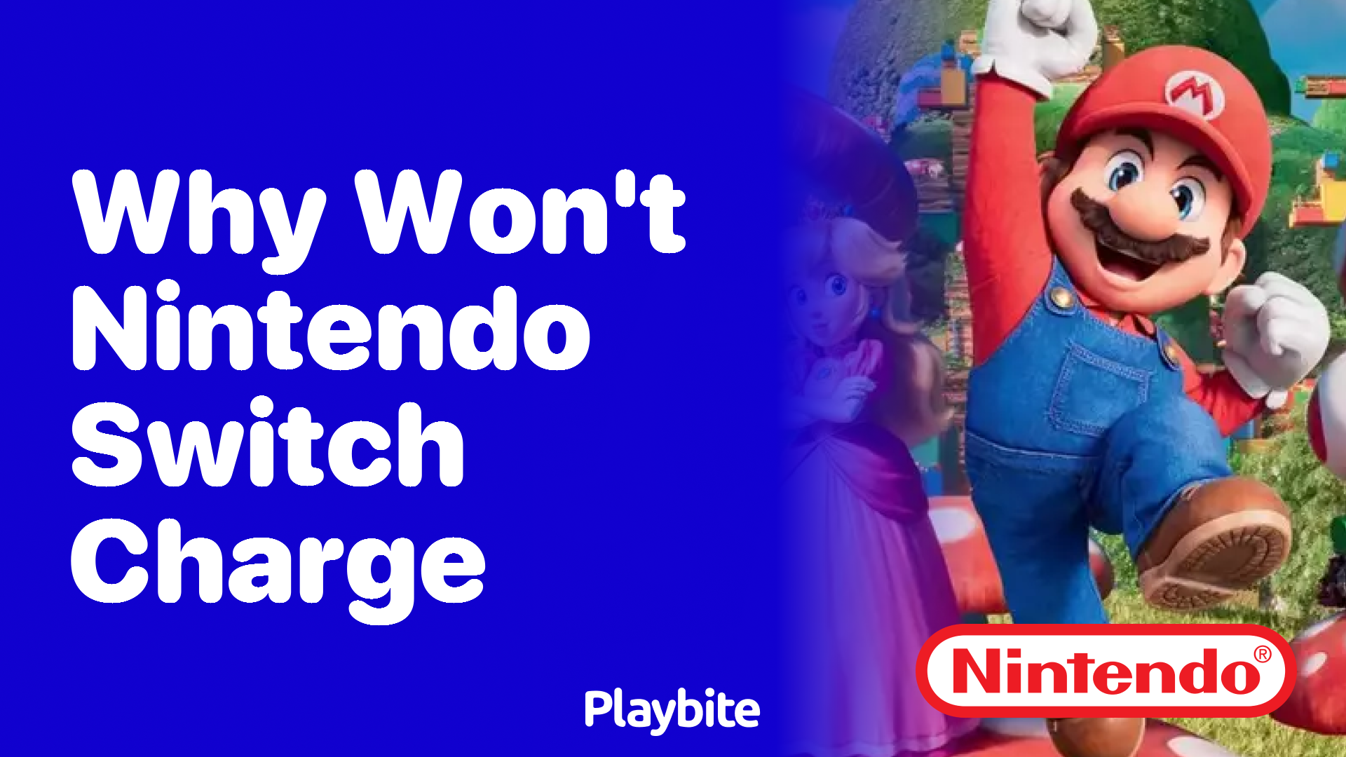 Why Won&rsquo;t My Nintendo Switch Charge? - Playbite