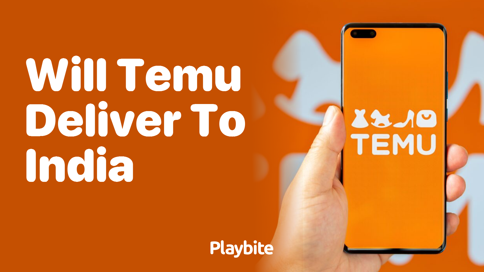 Will Temu Deliver to India? Find Out Here