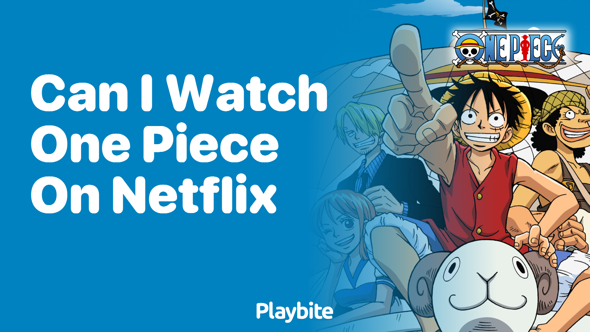 Can I Watch One Piece on Netflix?