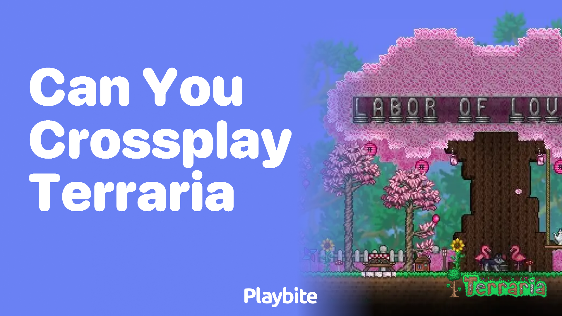 Can you crossplay Terraria?