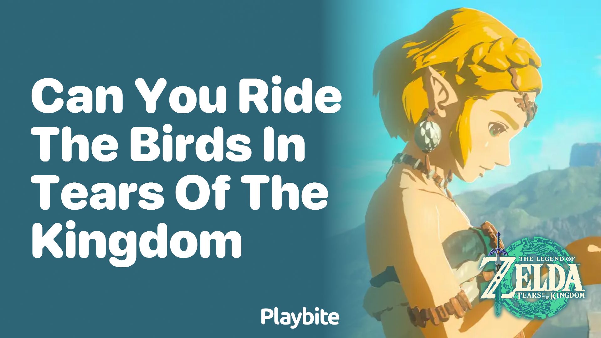 Can You Ride the Birds in Tears of the Kingdom?