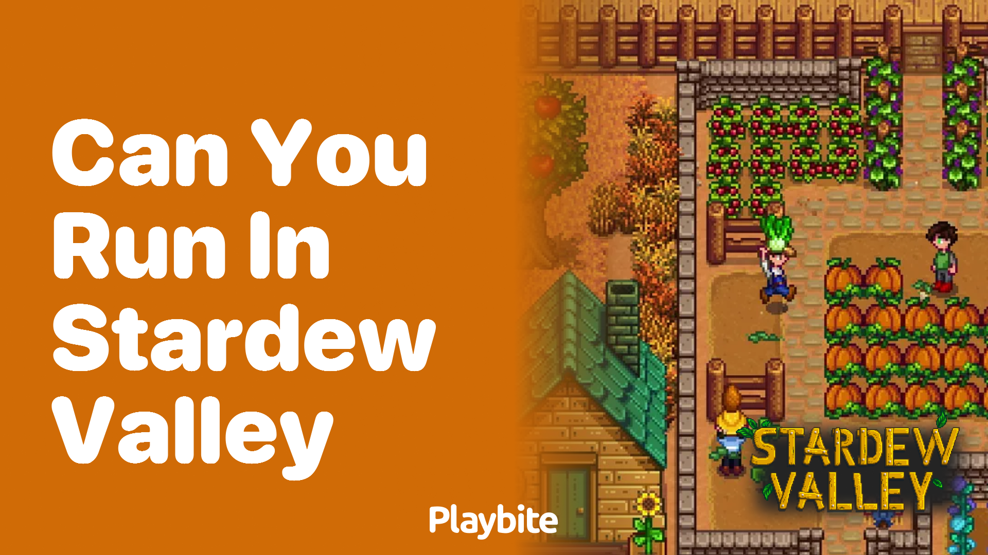 Can you run in Stardew Valley? - Playbite