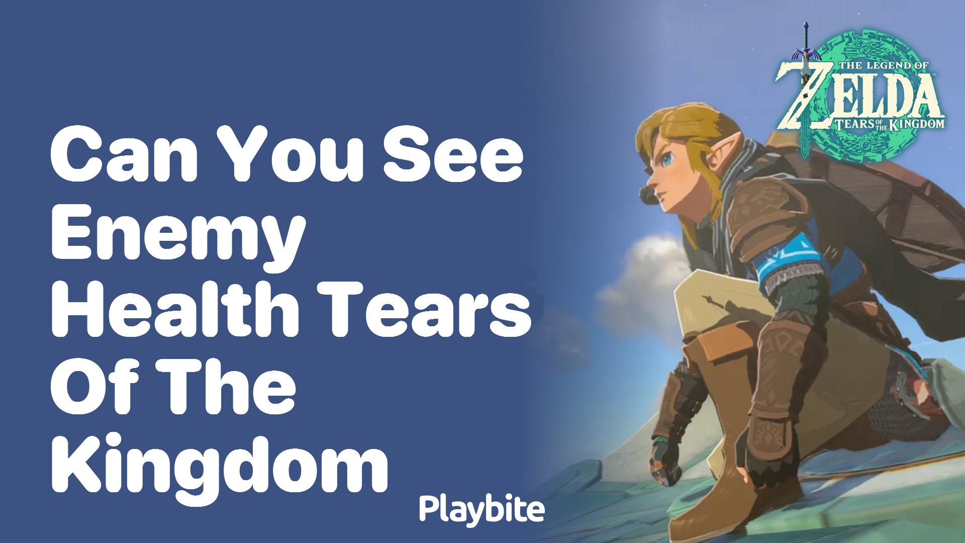 Can You See Enemy Health in Tears of the Kingdom?