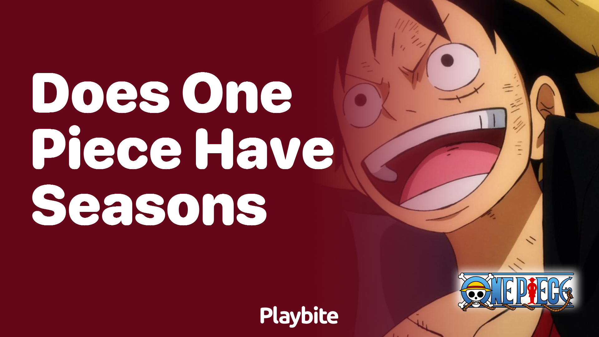 Does One Piece Have Seasons? Everything You Need to Know