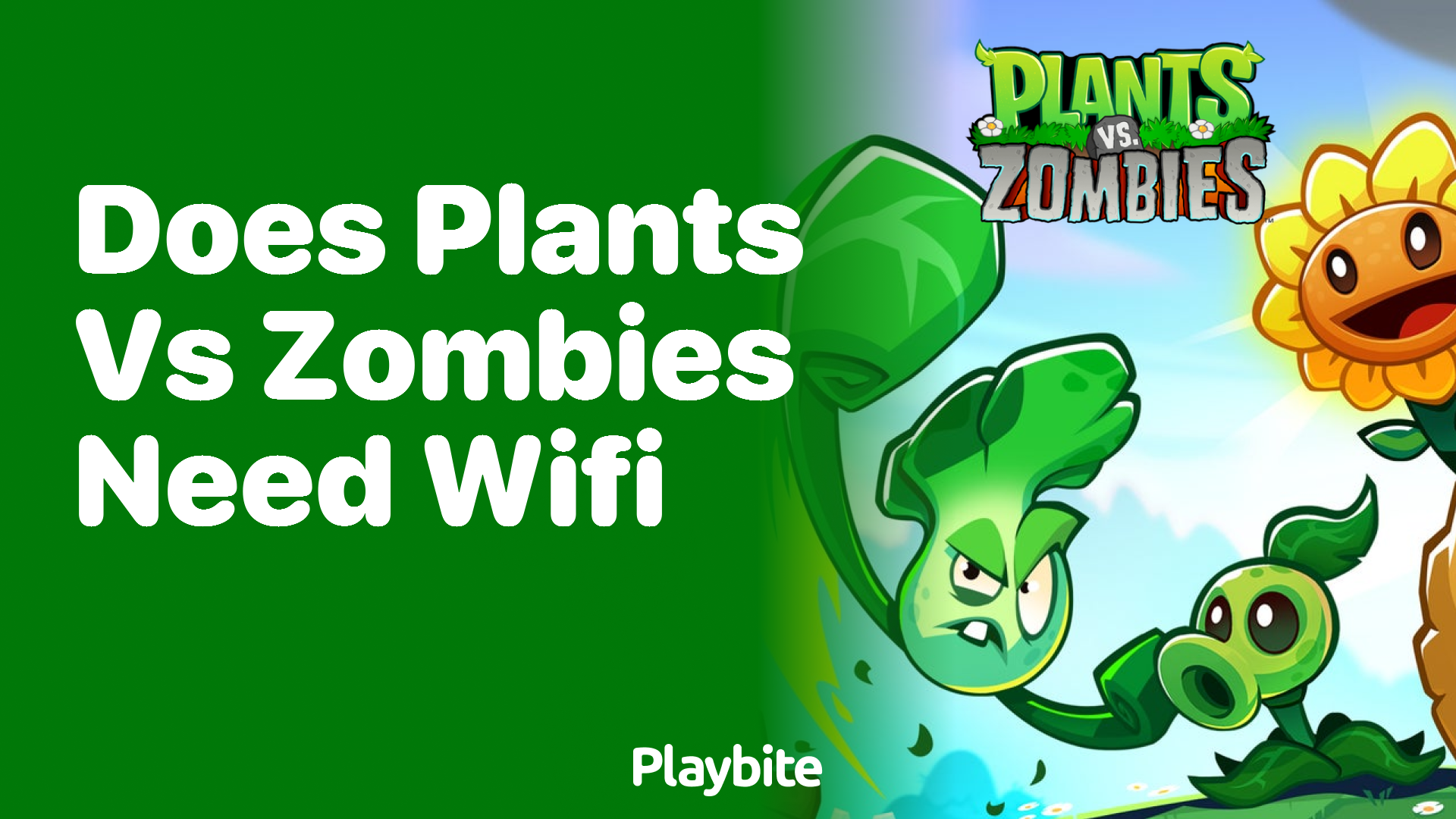 Does PvZ require WIFI?