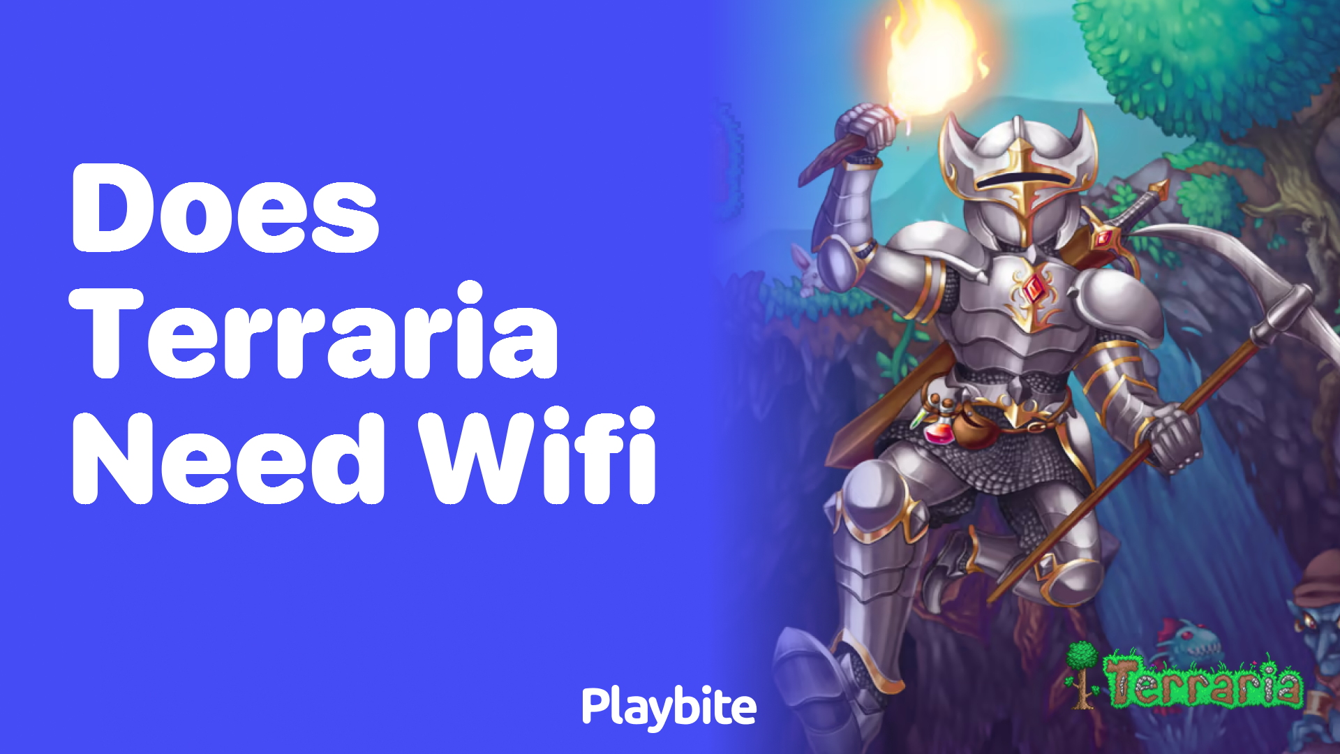 Does Terraria need WiFi?