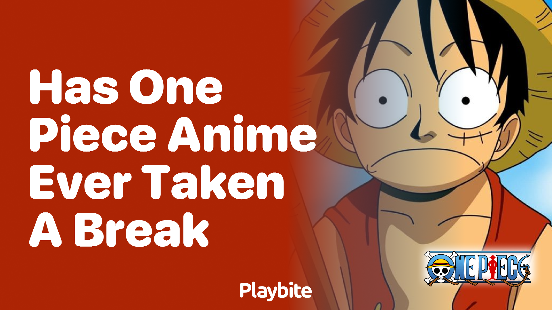 Has the One Piece anime ever taken a break?