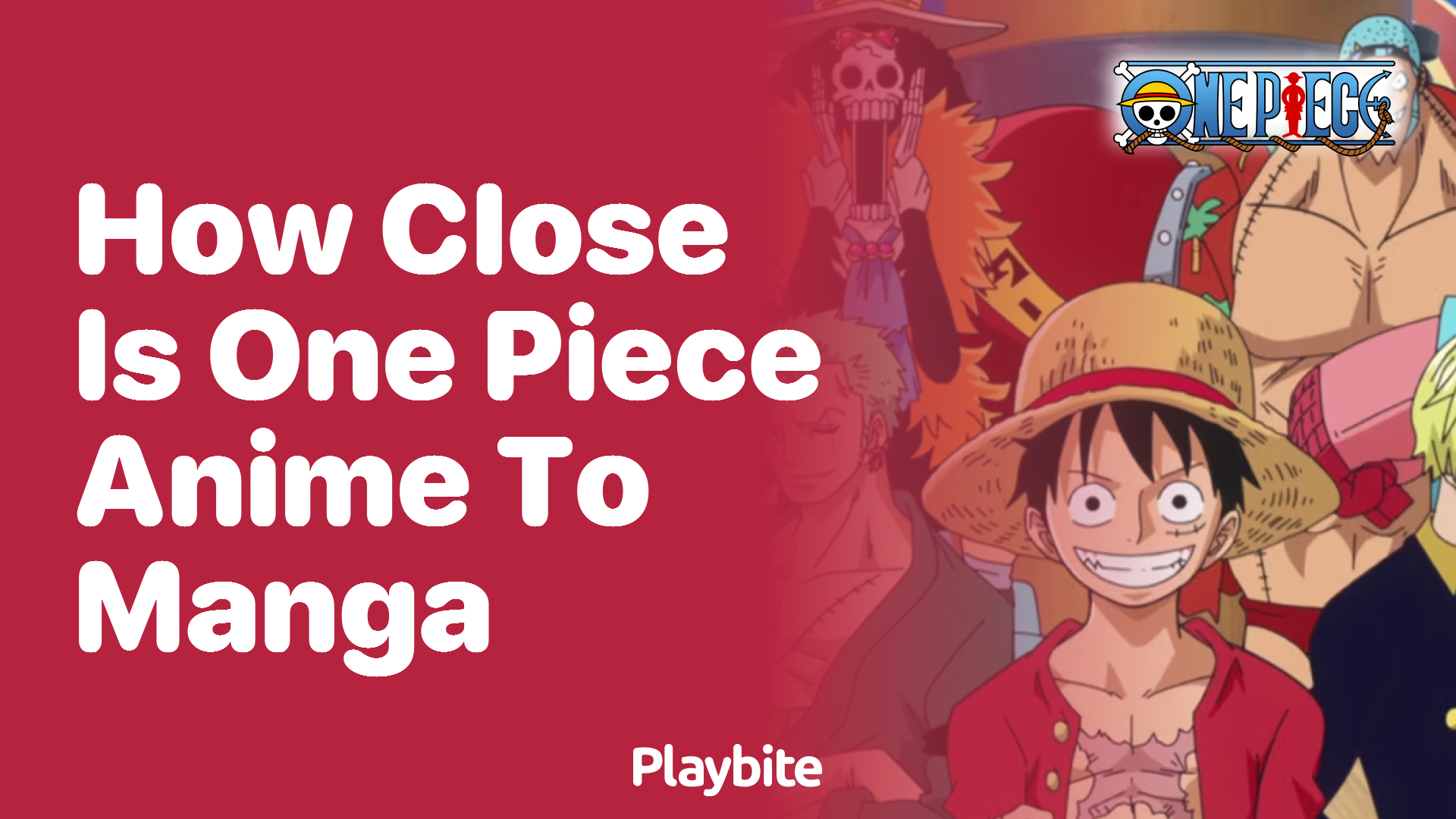 How Close Is the One Piece Anime to the Manga?