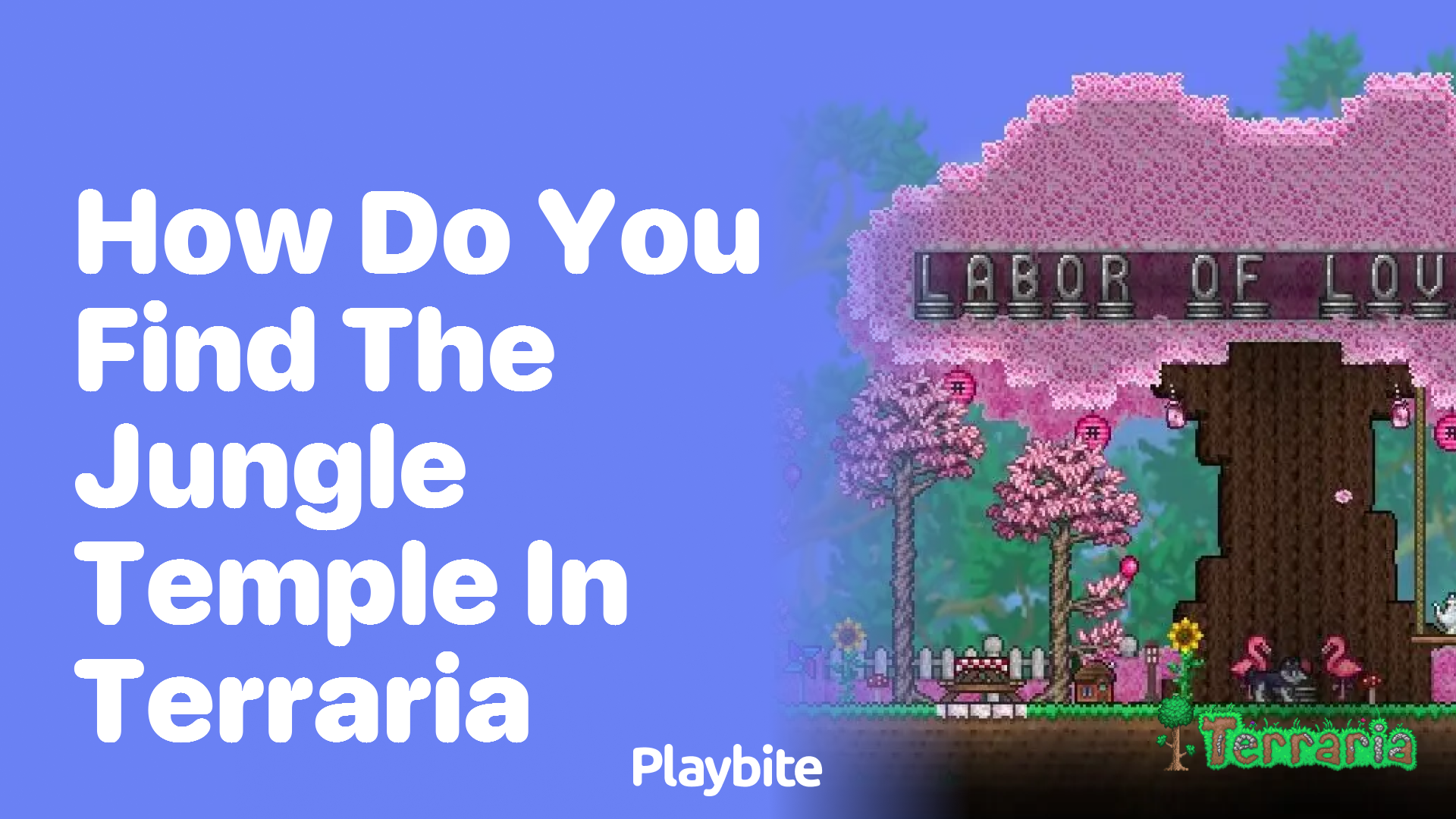 How do you find the Jungle Temple in Terraria?