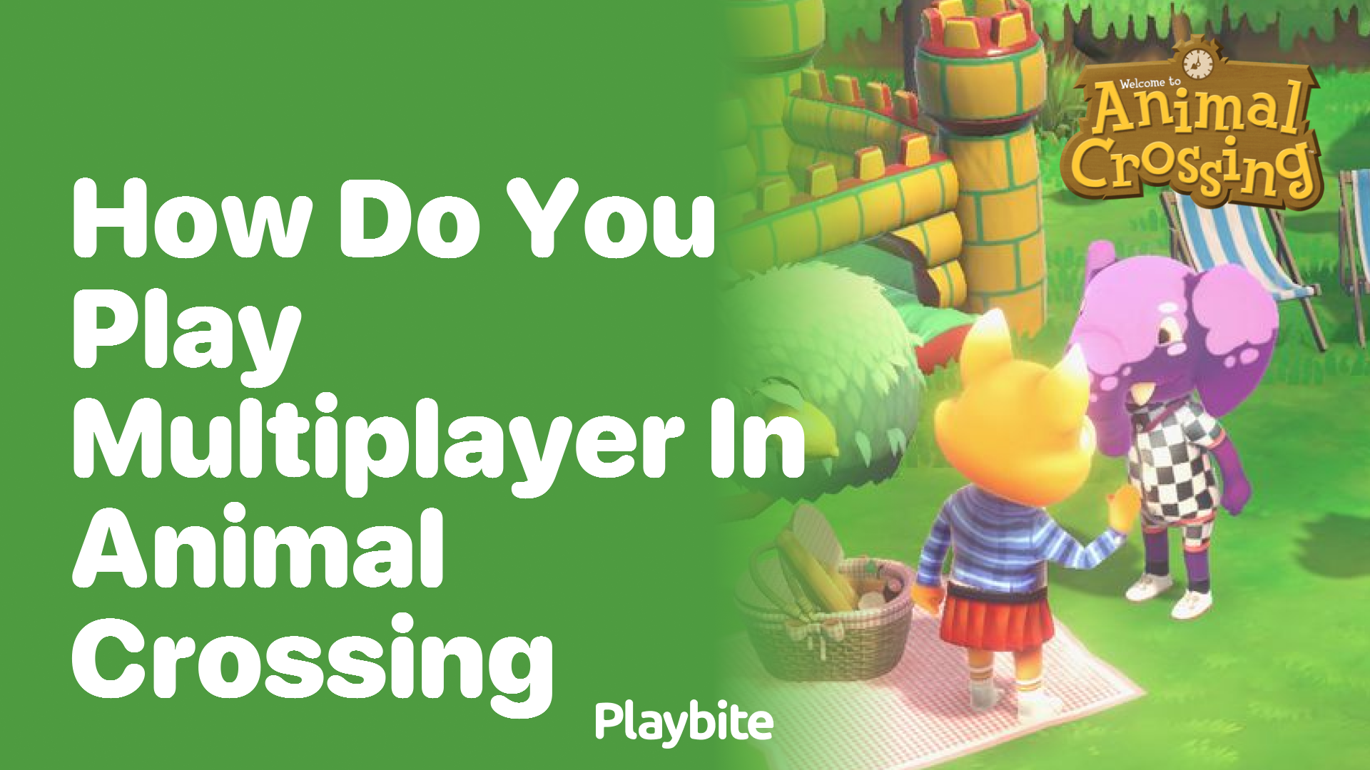 How do you play multiplayer in Animal Crossing?