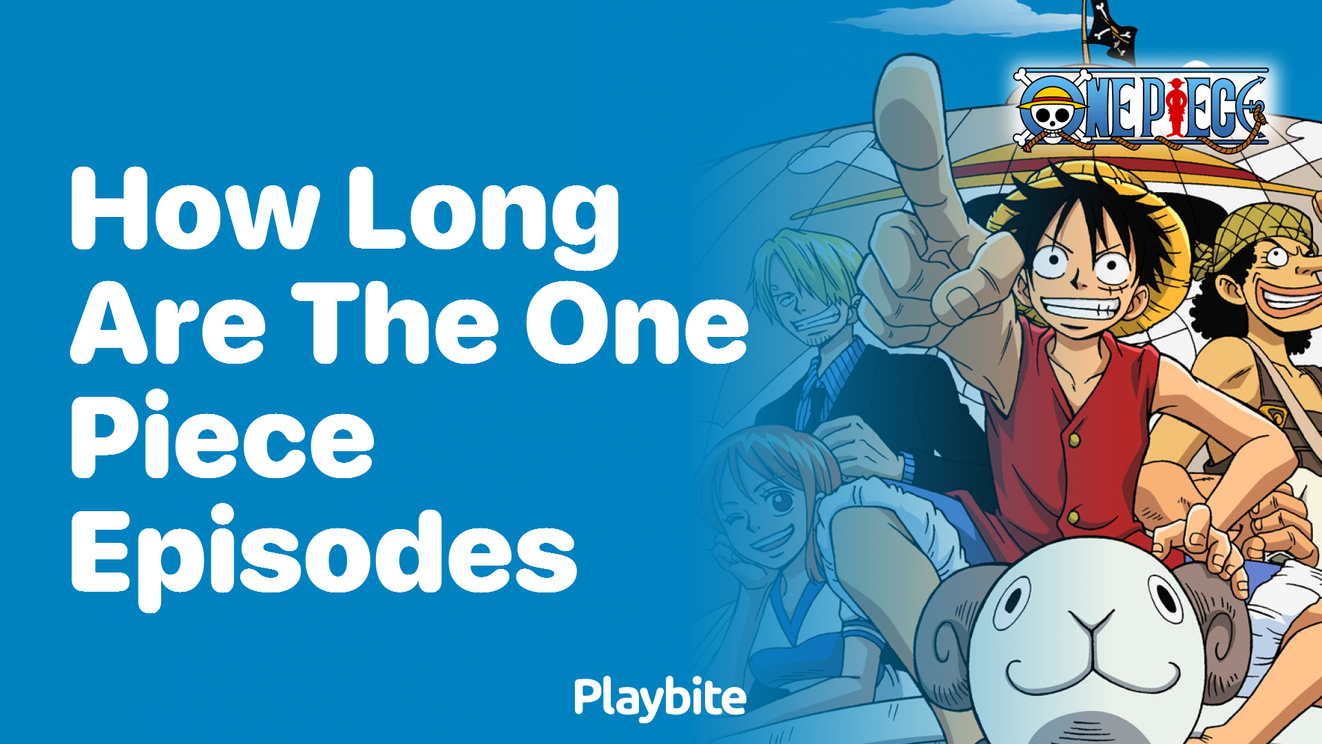 How Long Are the Episodes of One Piece?