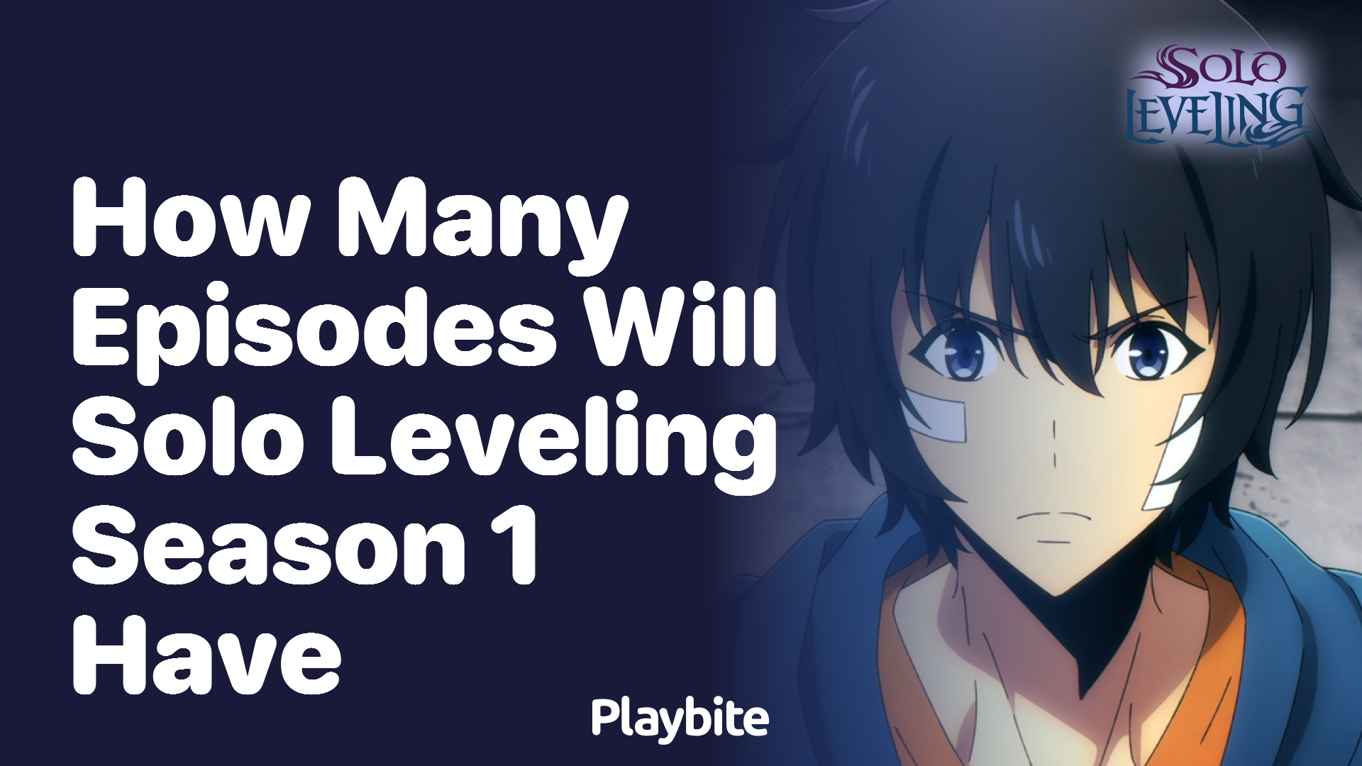 How many episodes will Solo Leveling Season 1 have? - Playbite