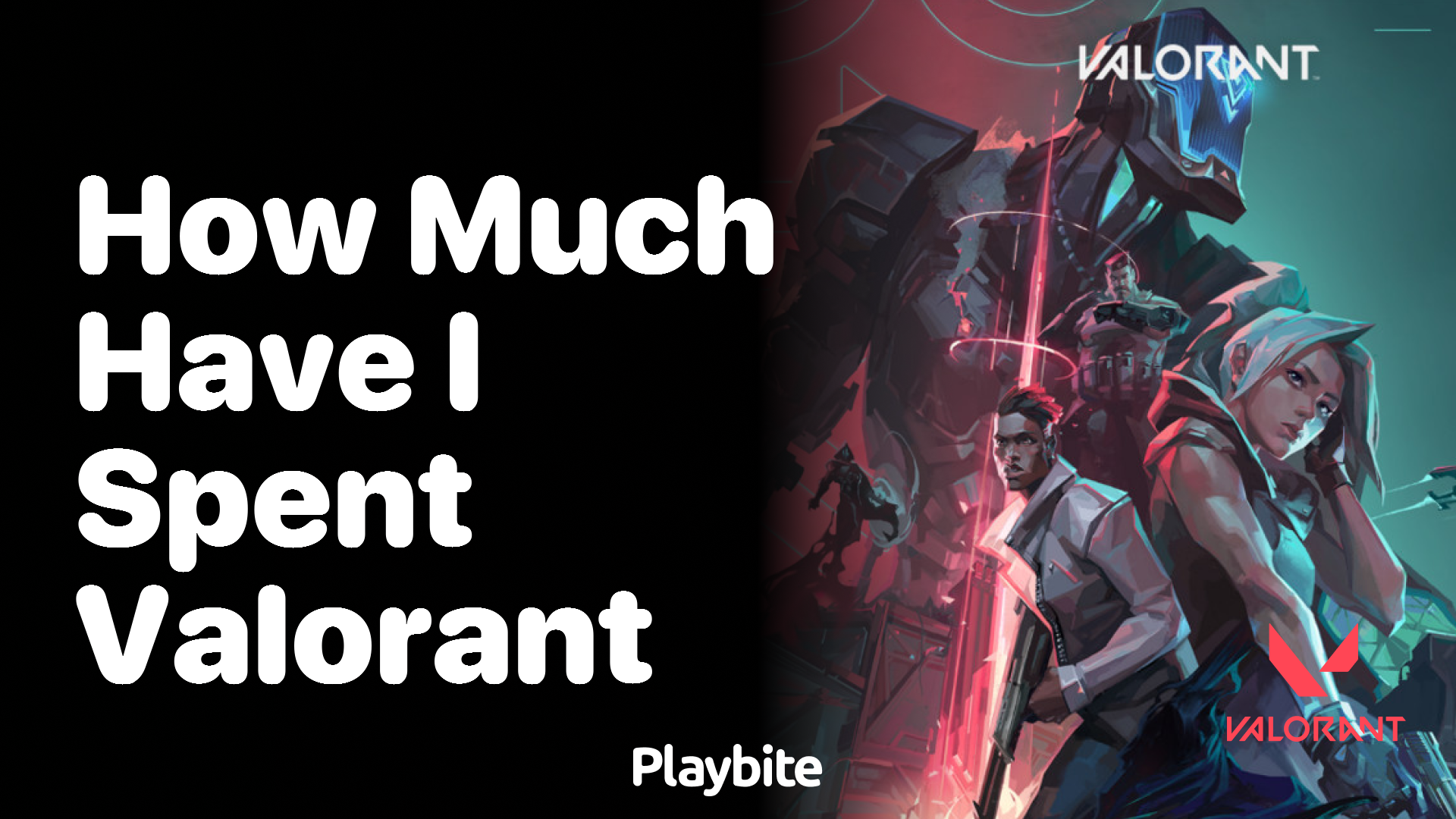 How much have I spent on Valorant?