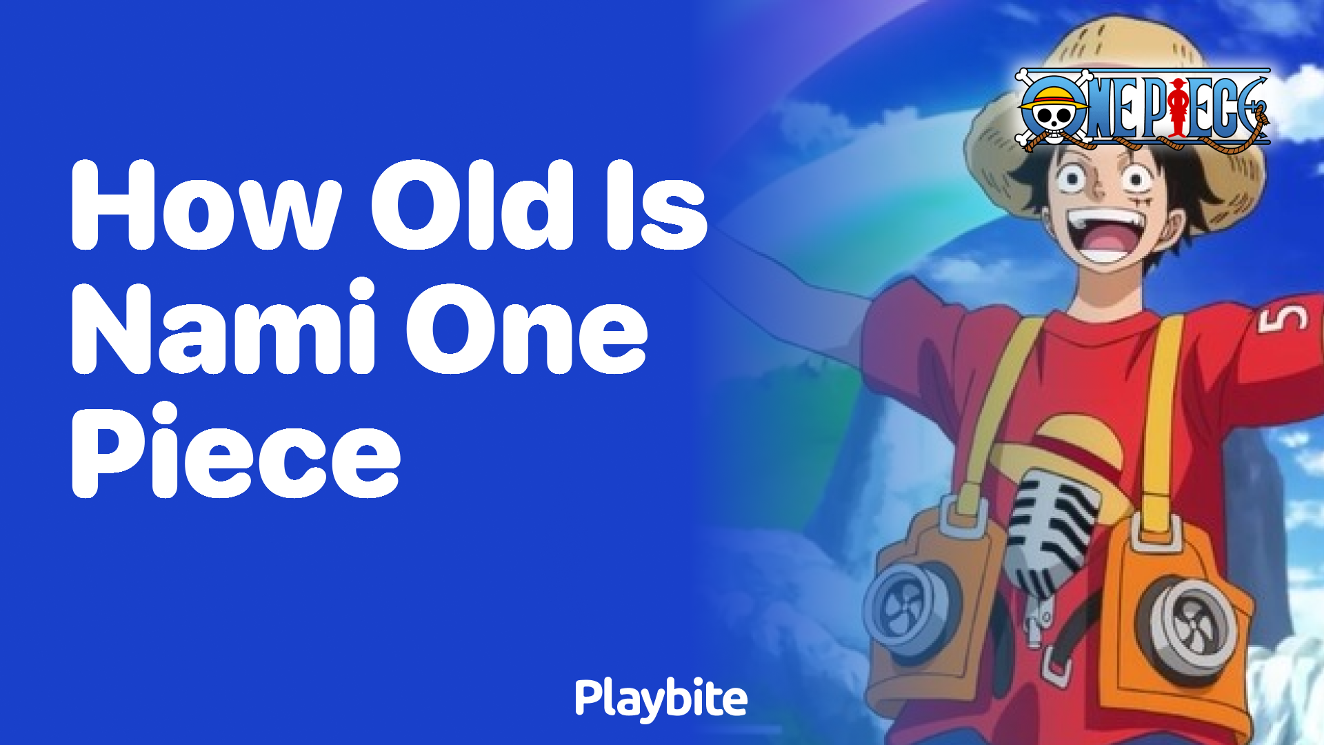 How Old is Nami from One Piece? Unraveling the Age of the Beloved Navigator  - Playbite