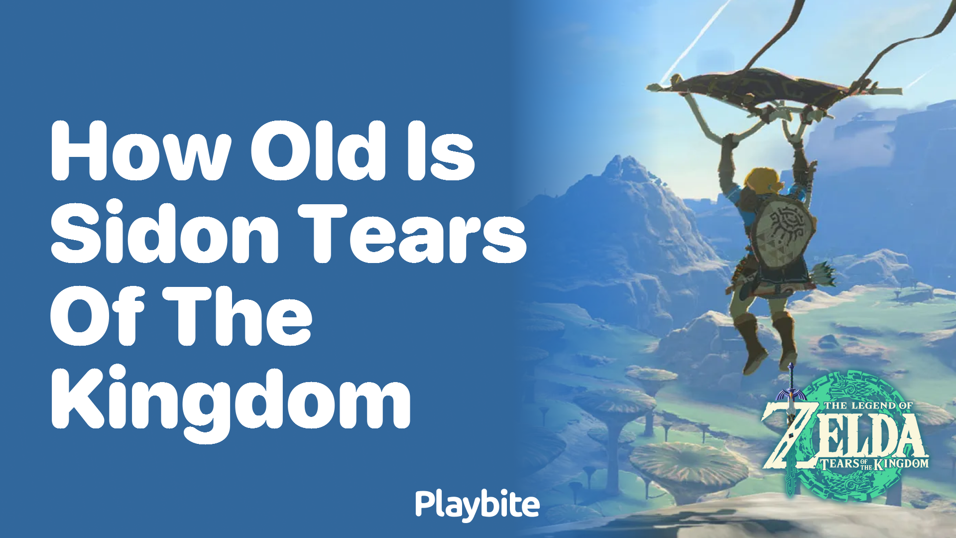 How Old is Sidon in Tears of the Kingdom? - Playbite