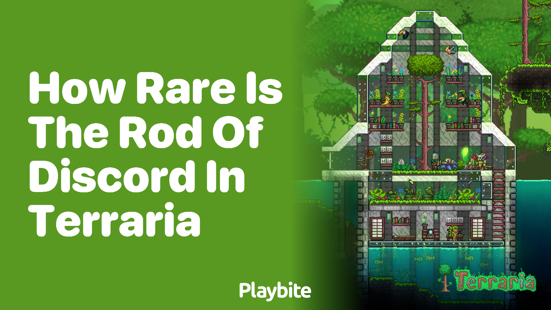 How rare is the Rod of Discord in Terraria?